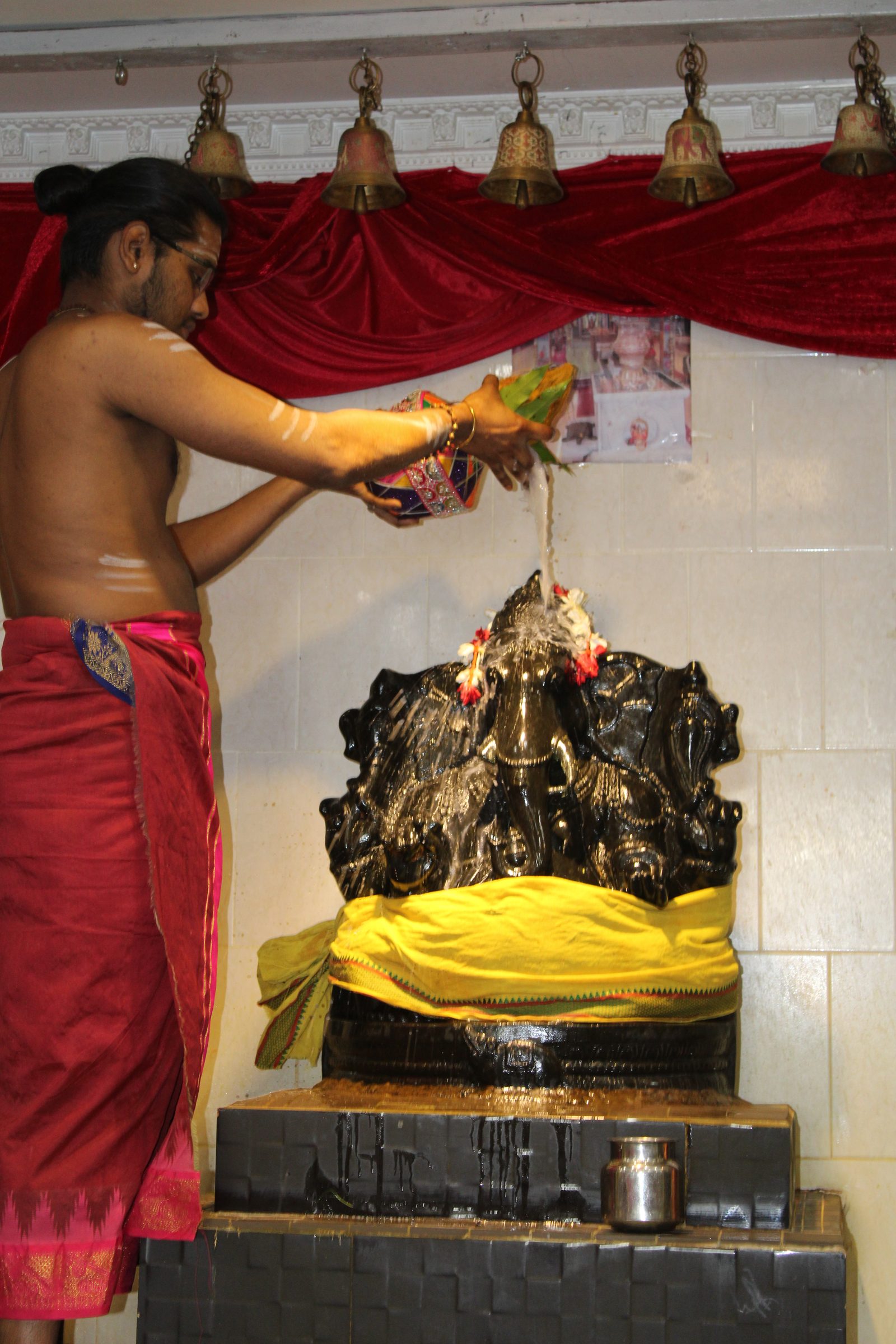 Festival 2024 photo