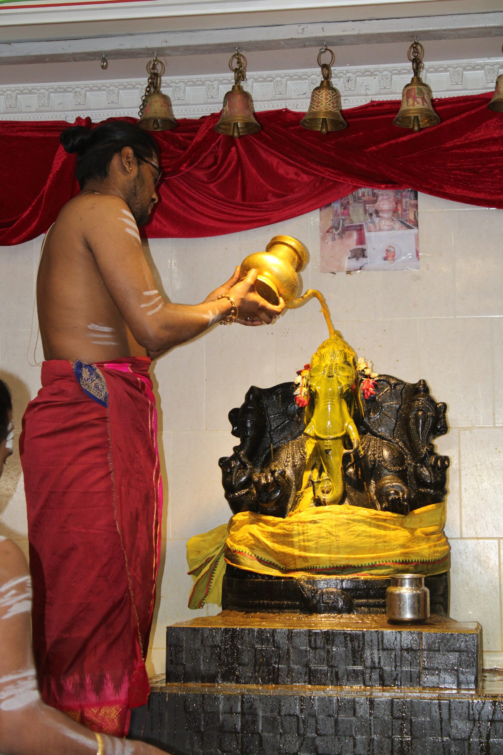 Festival 2024 photo