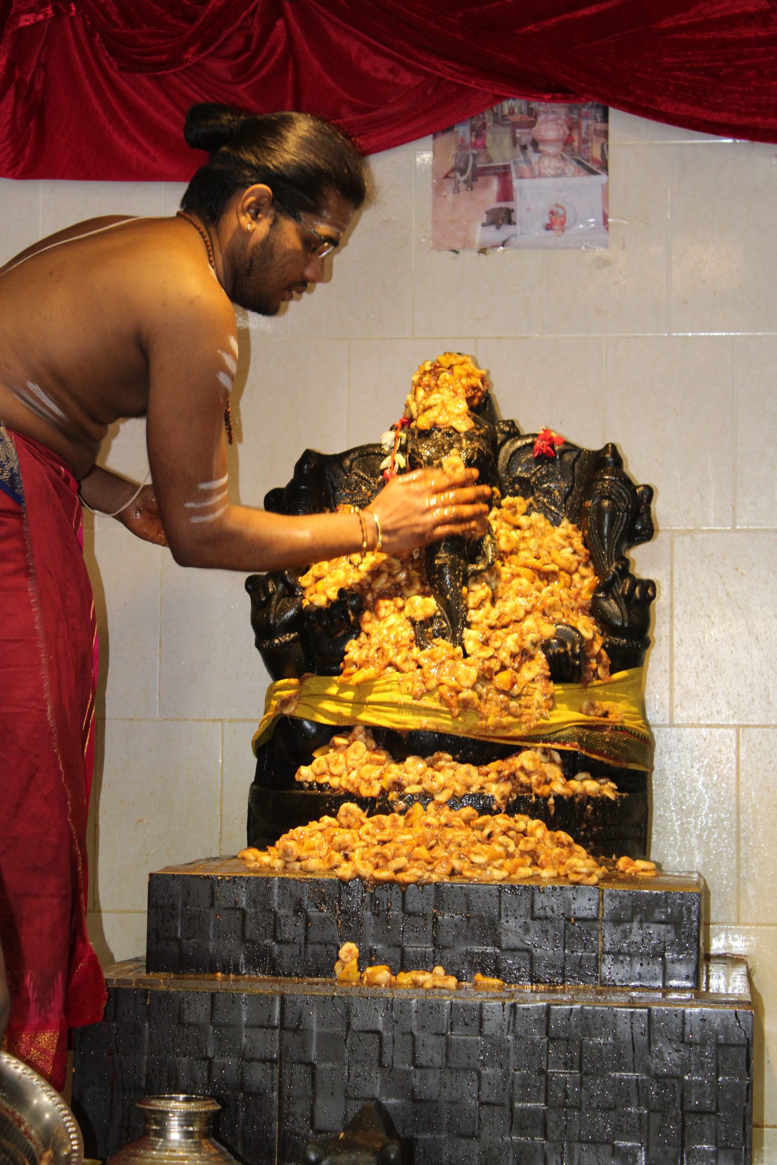 Festival 2024 photo