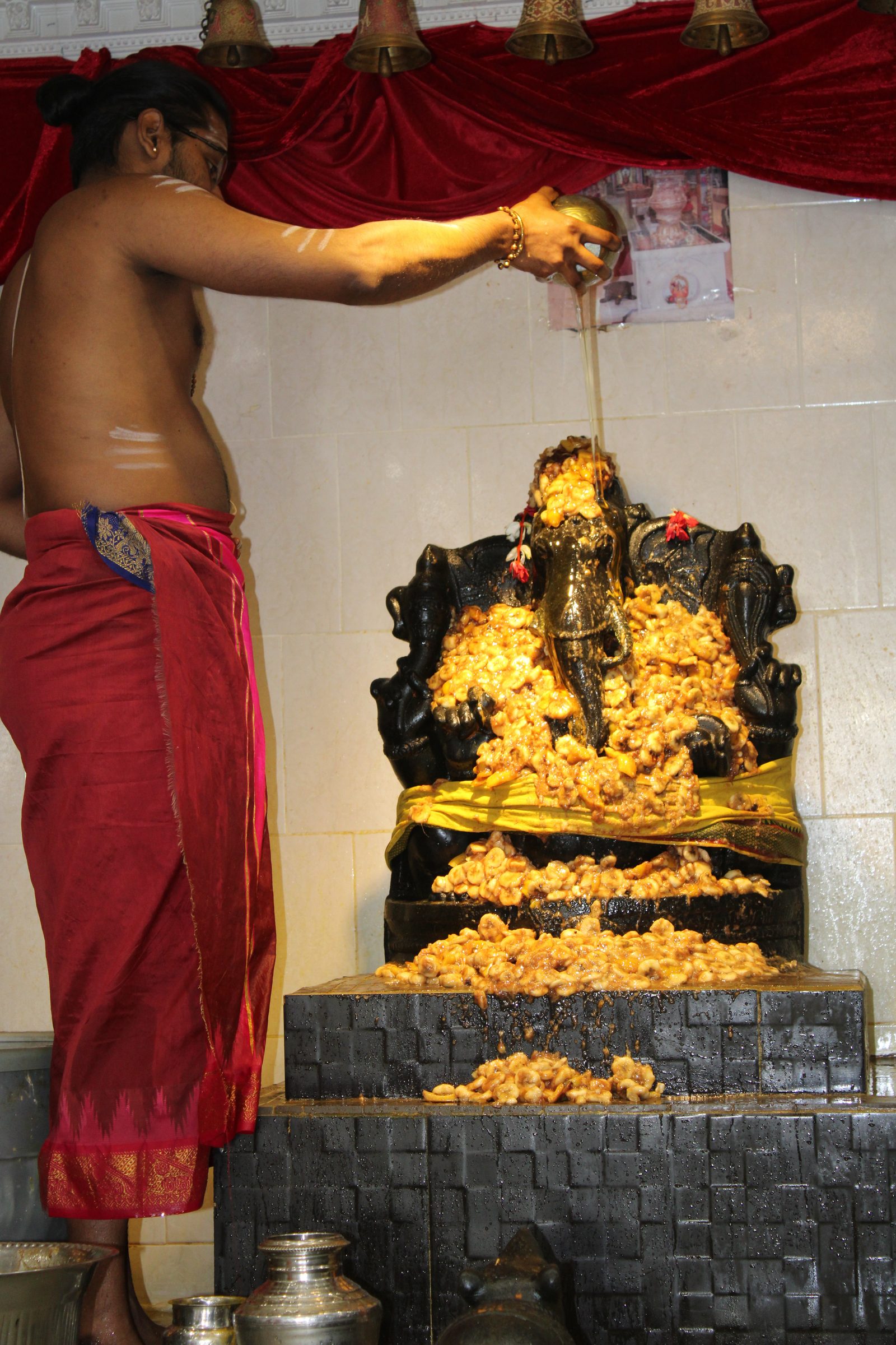 Festival 2024 photo
