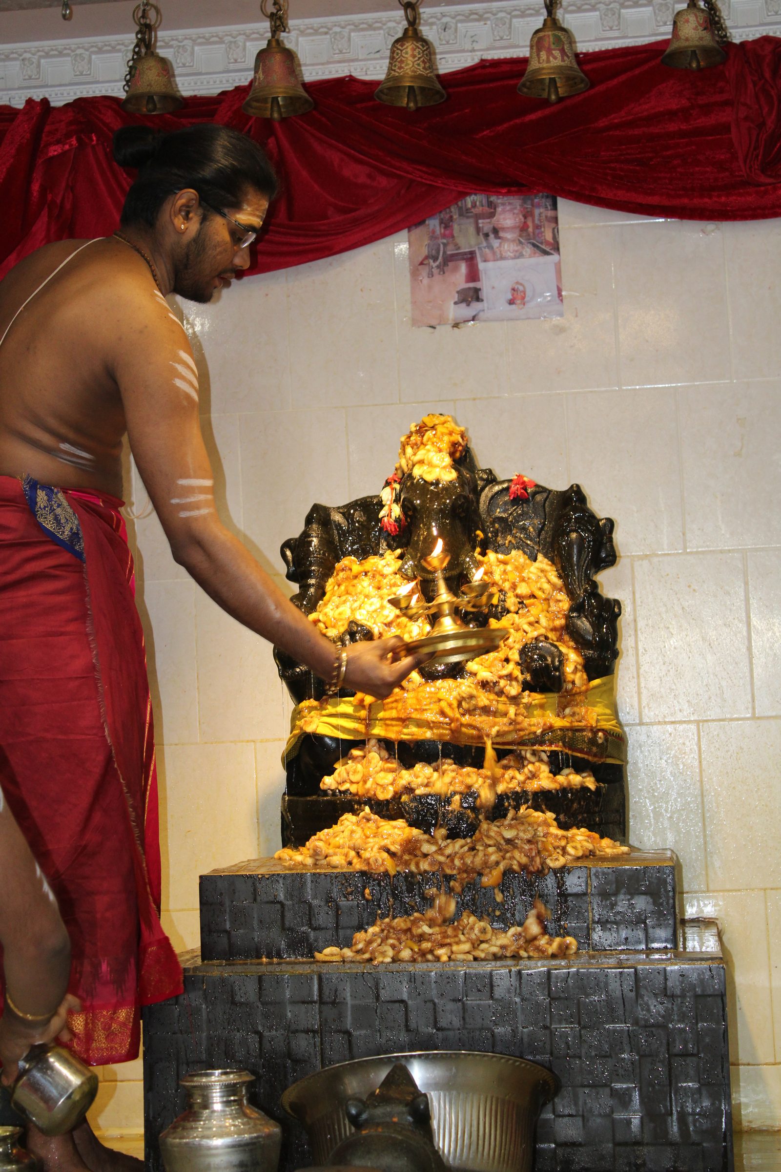 Festival 2024 photo