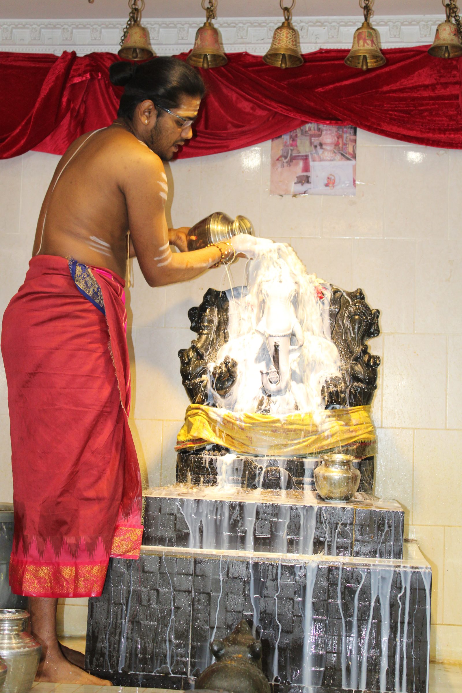 Festival 2024 photo