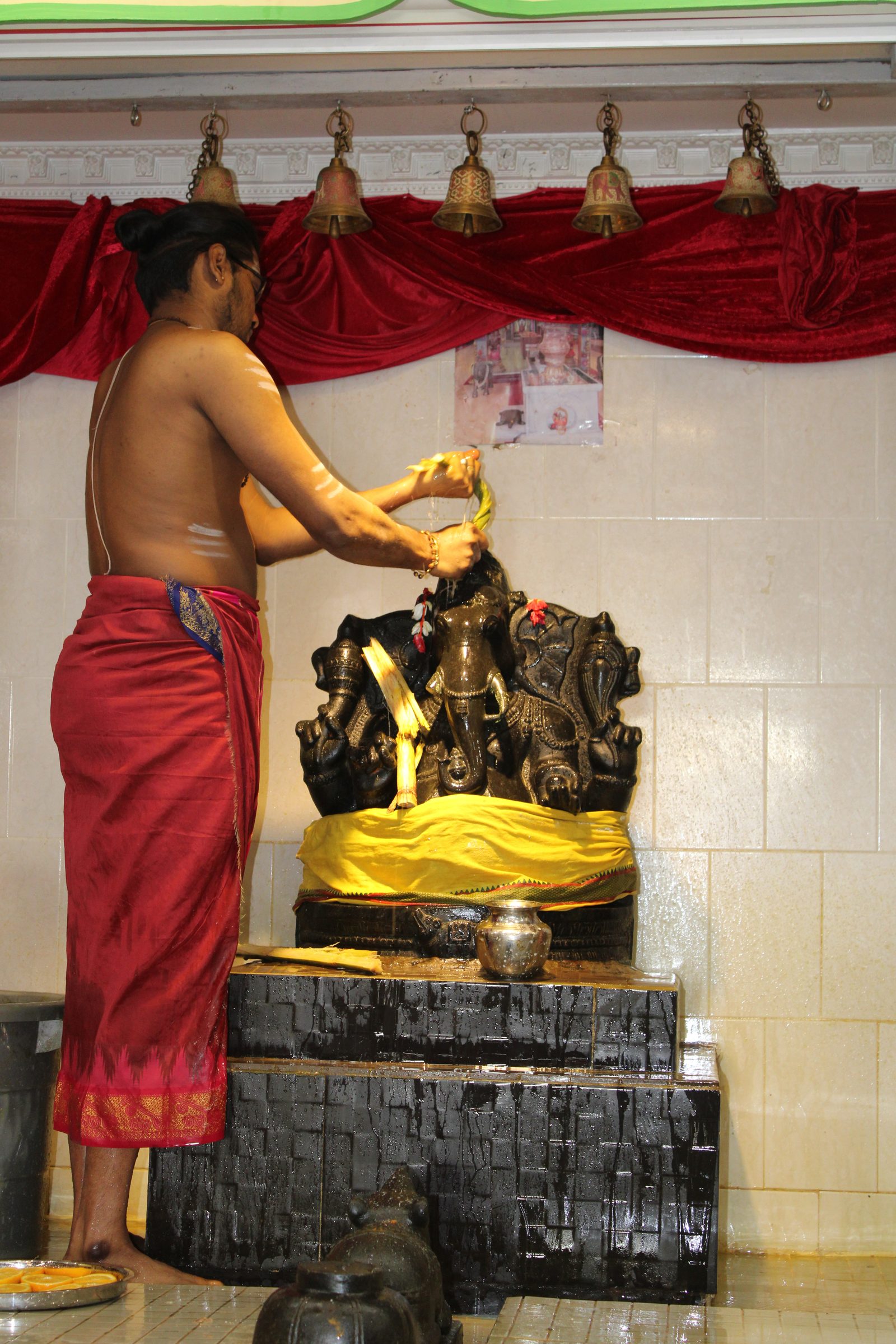 Festival 2024 photo