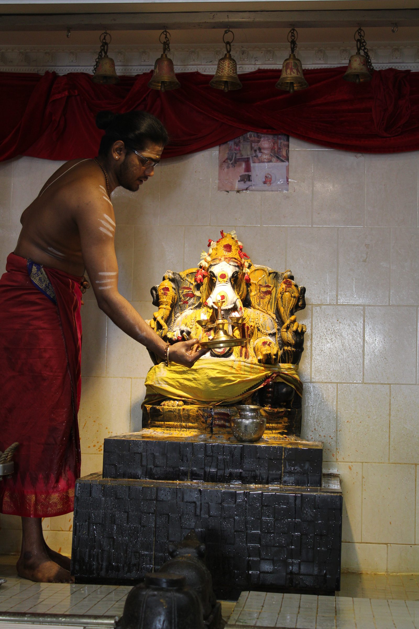 Festival 2024 photo