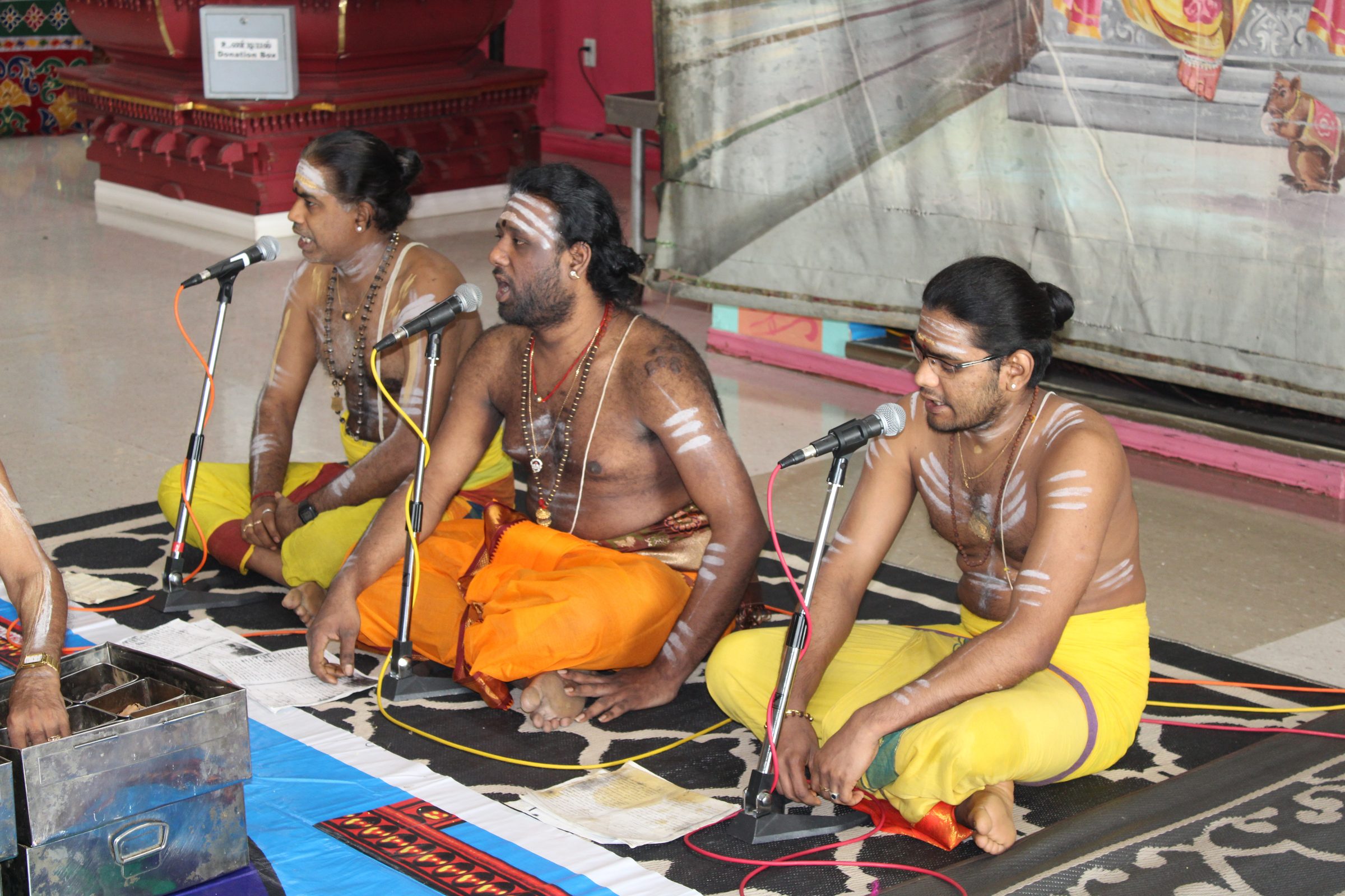 Festival 2024 photo