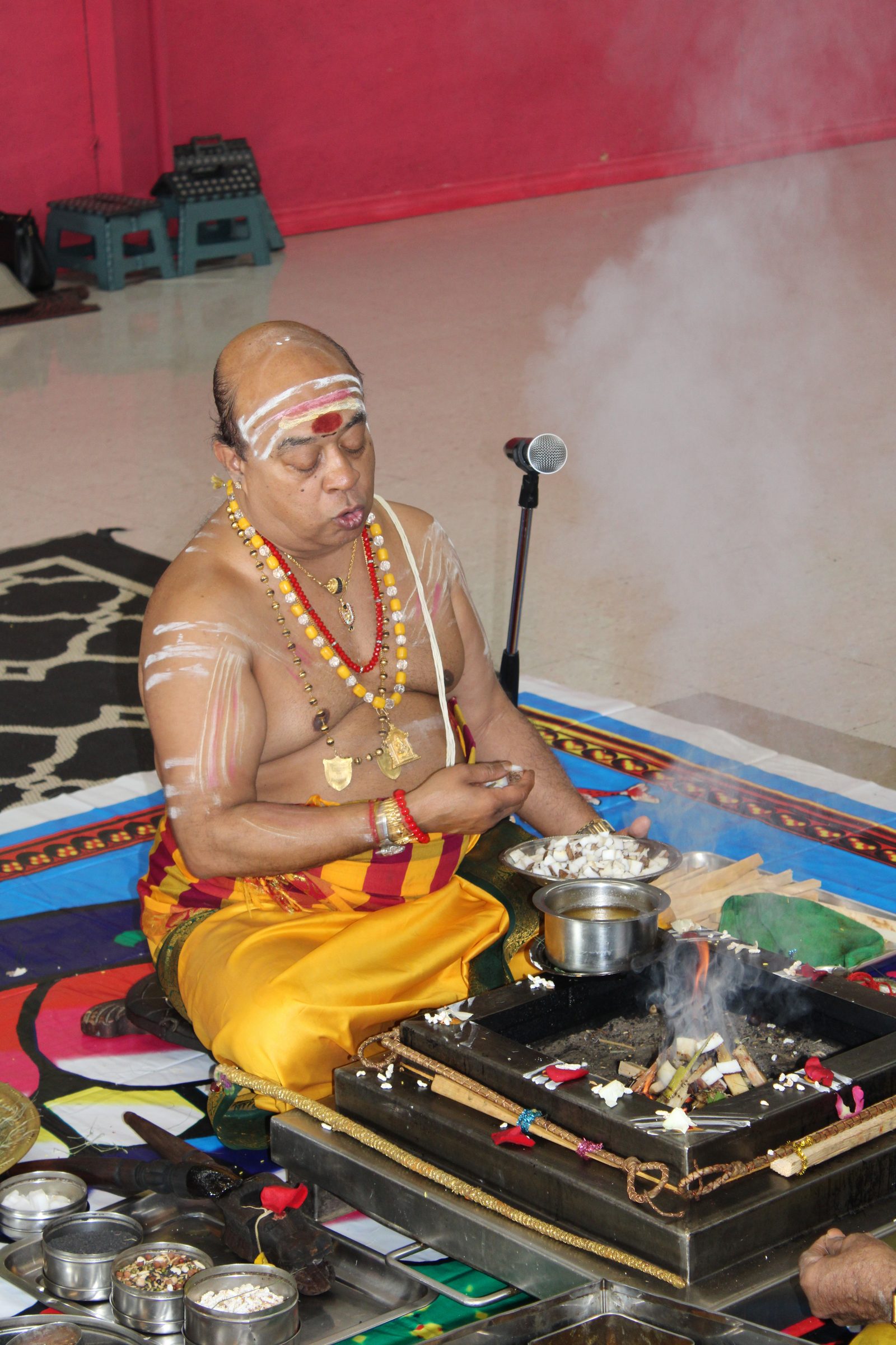 Festival 2024 photo