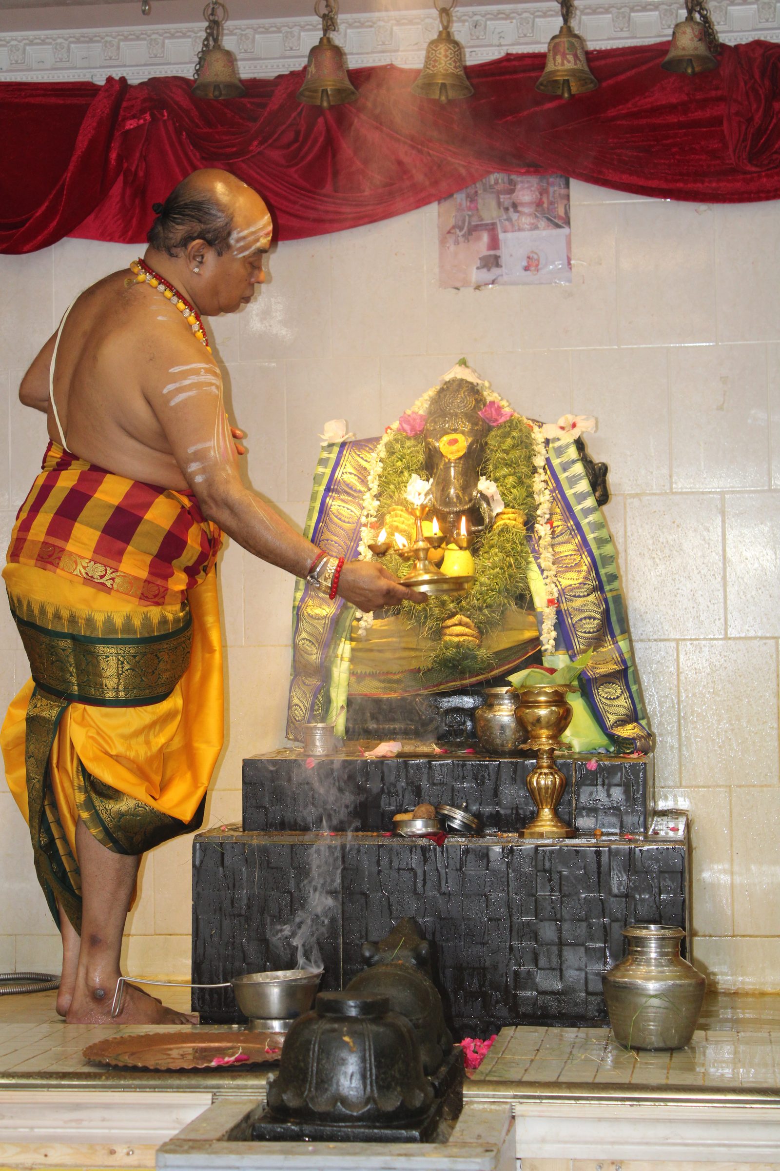 Festival 2024 photo