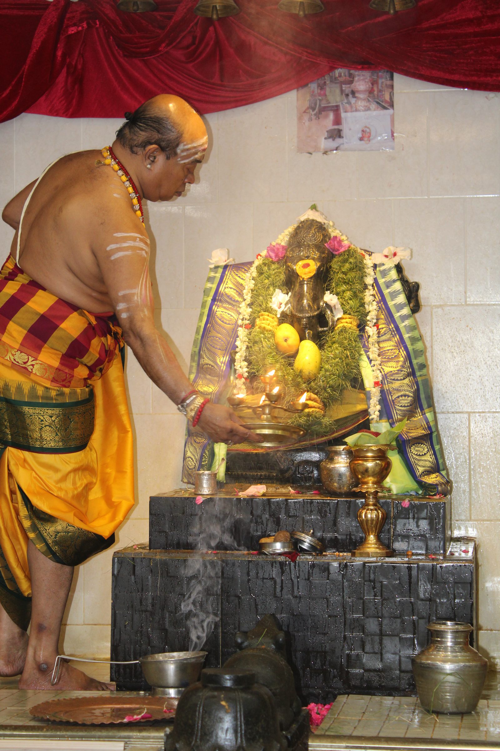 Festival 2024 photo