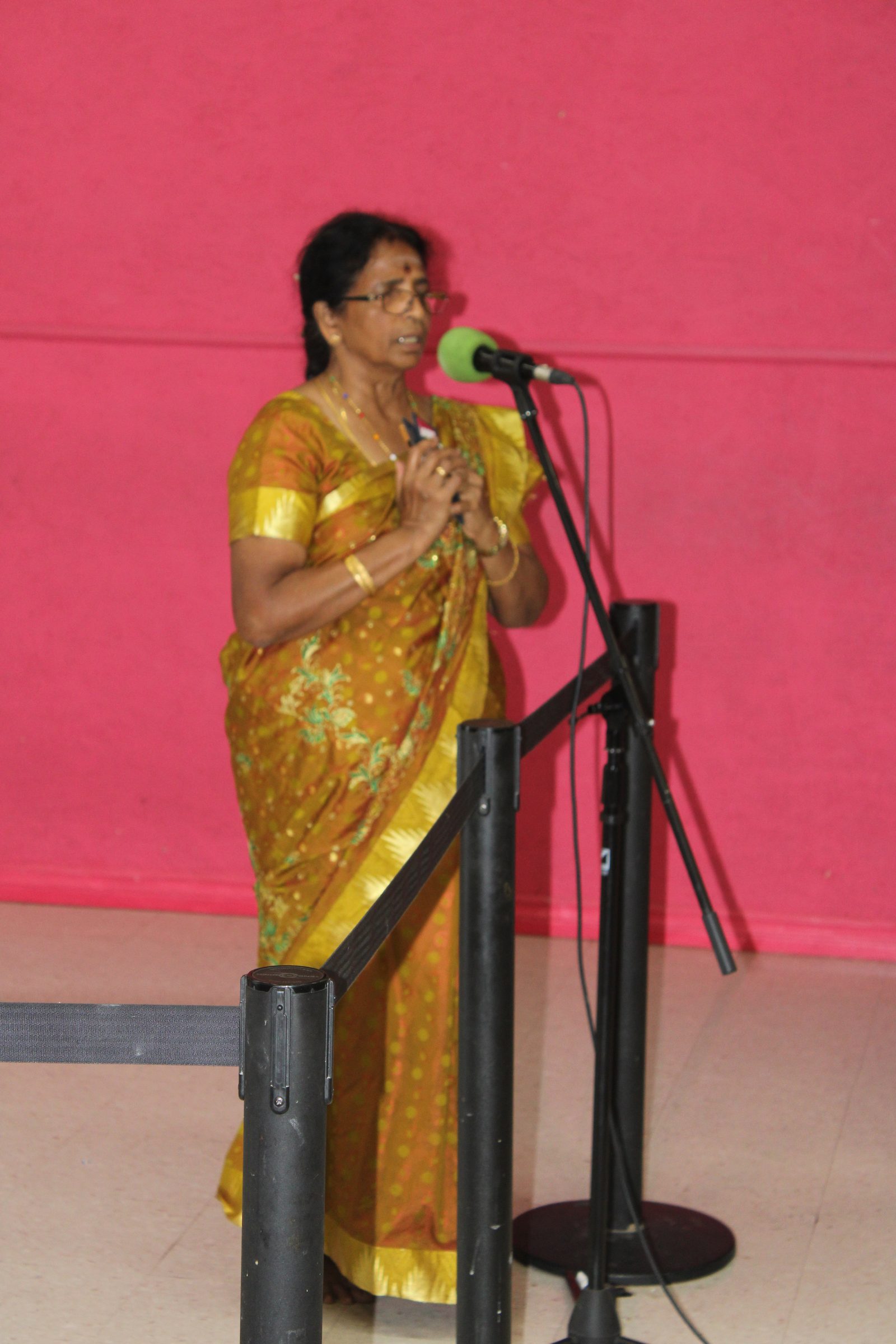 Festival 2024 photo