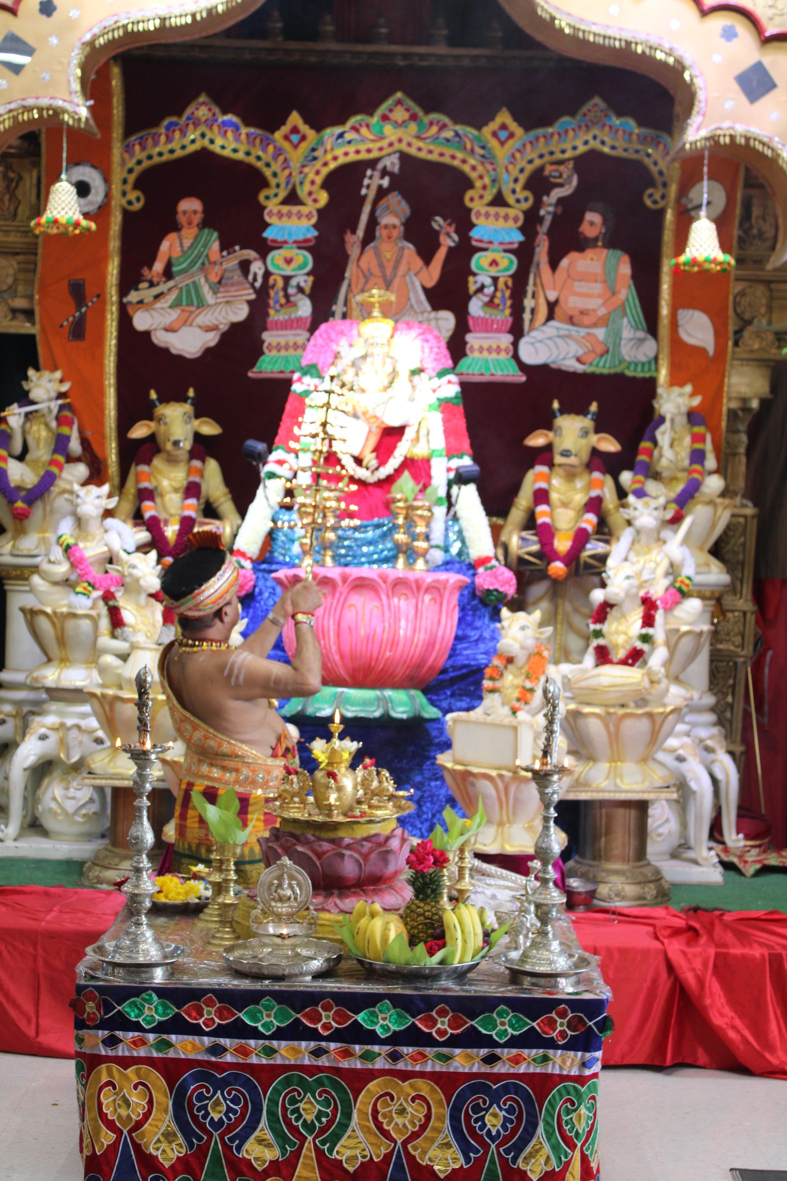 Festival 2024 photo