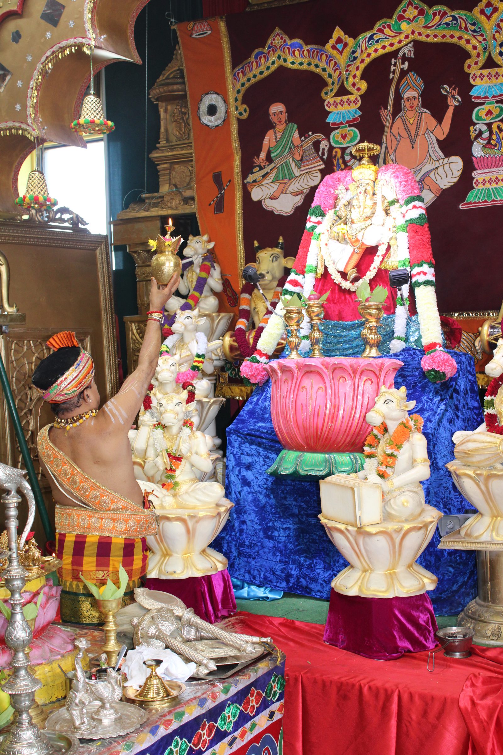Festival 2024 photo