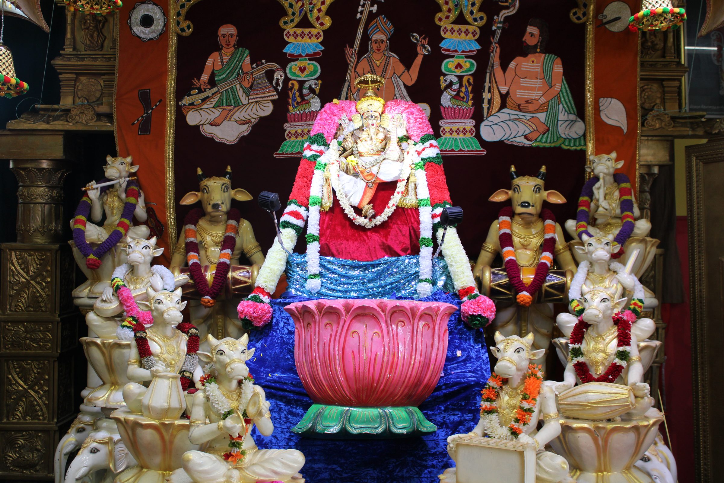 Festival 2024 photo