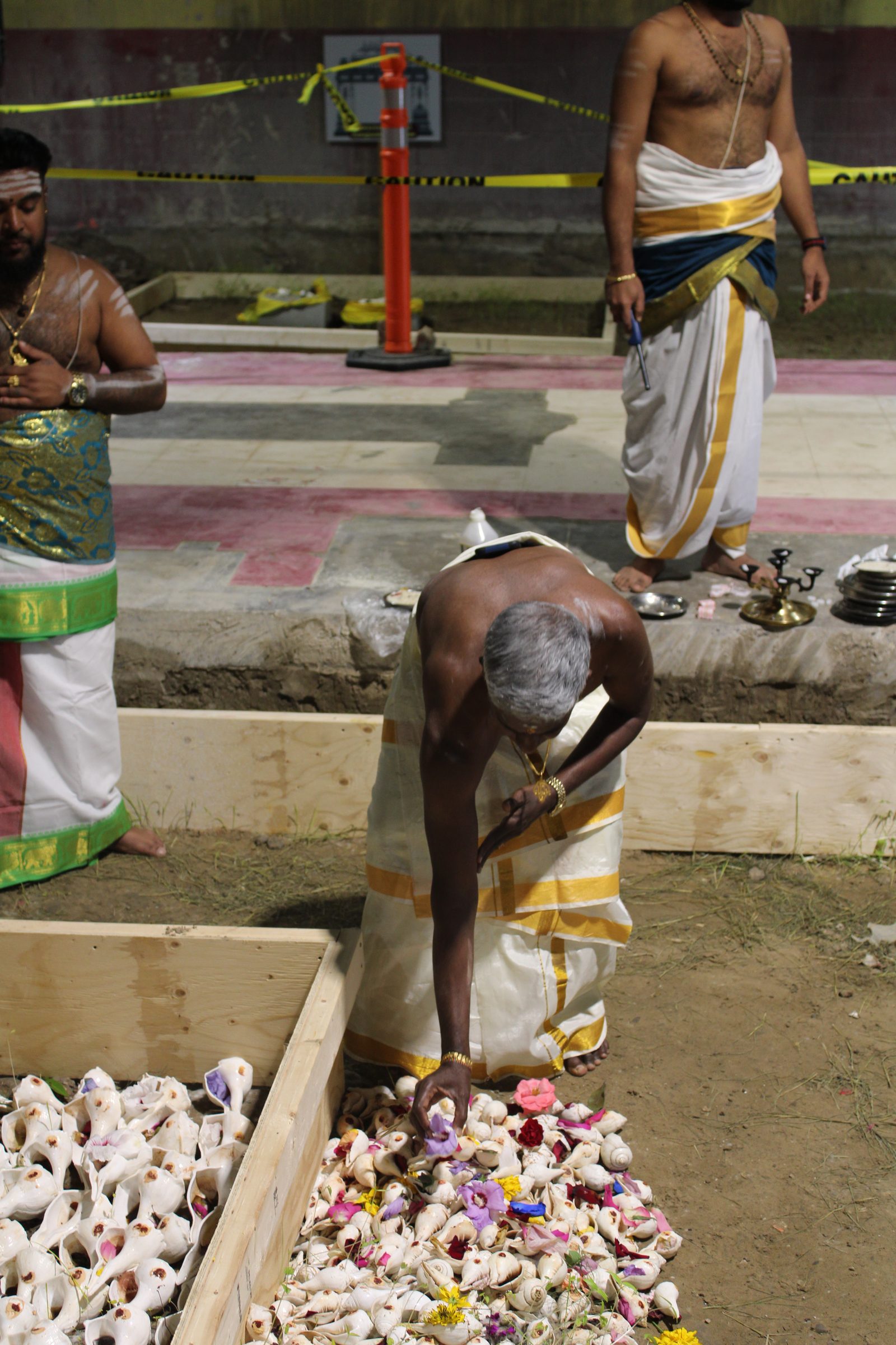 Festival 2024 photo