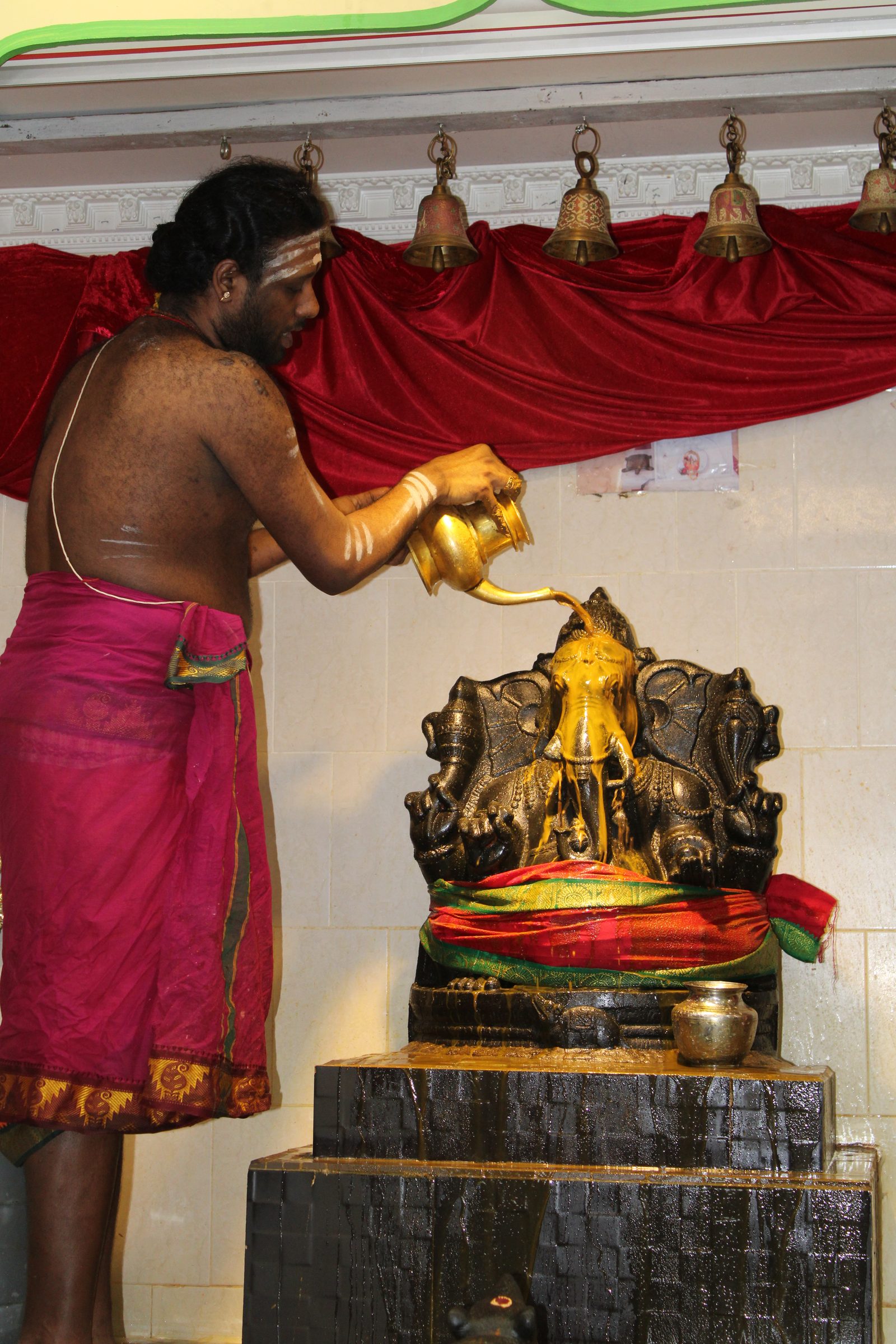 Festival 2024 photo