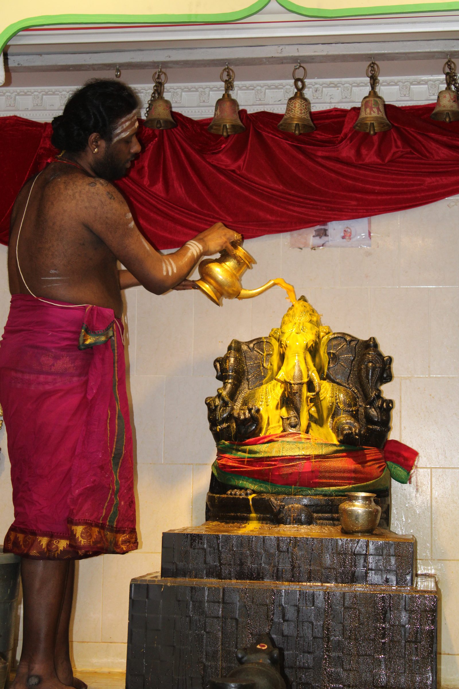 Festival 2024 photo