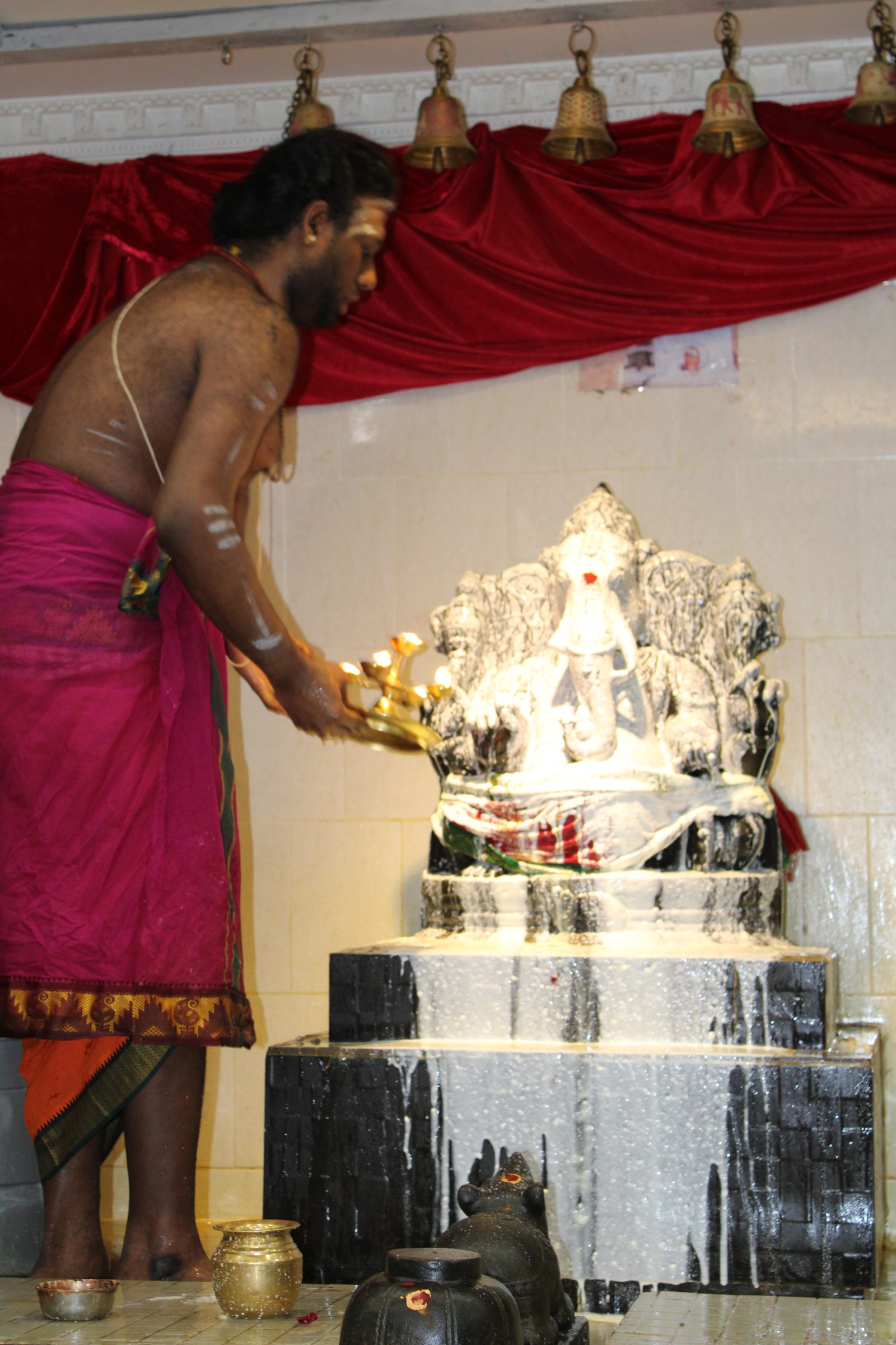 Festival 2024 photo