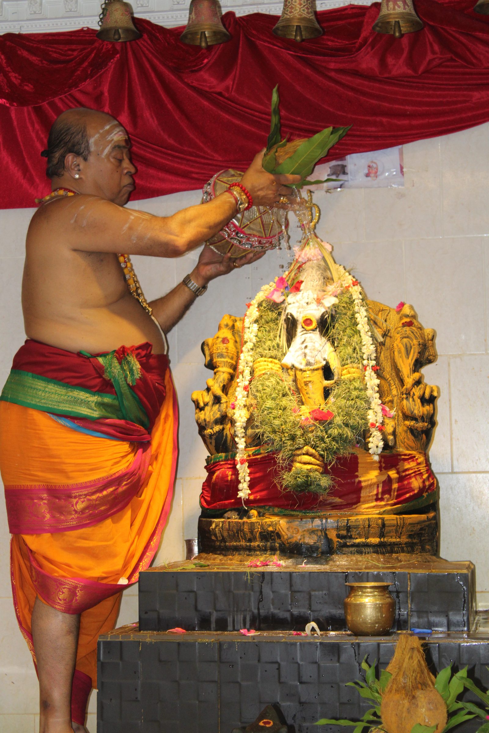 Festival 2024 photo