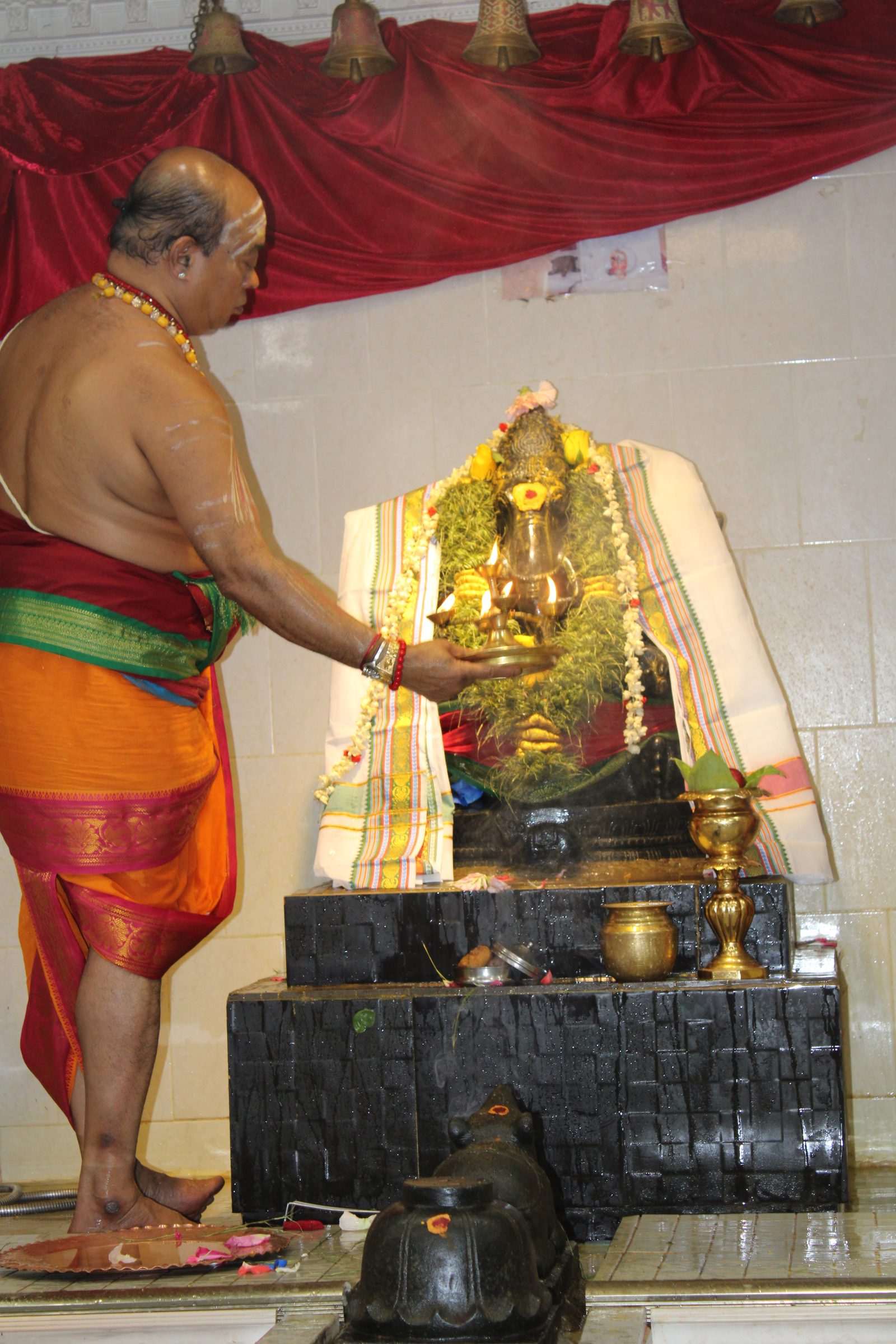 Festival 2024 photo