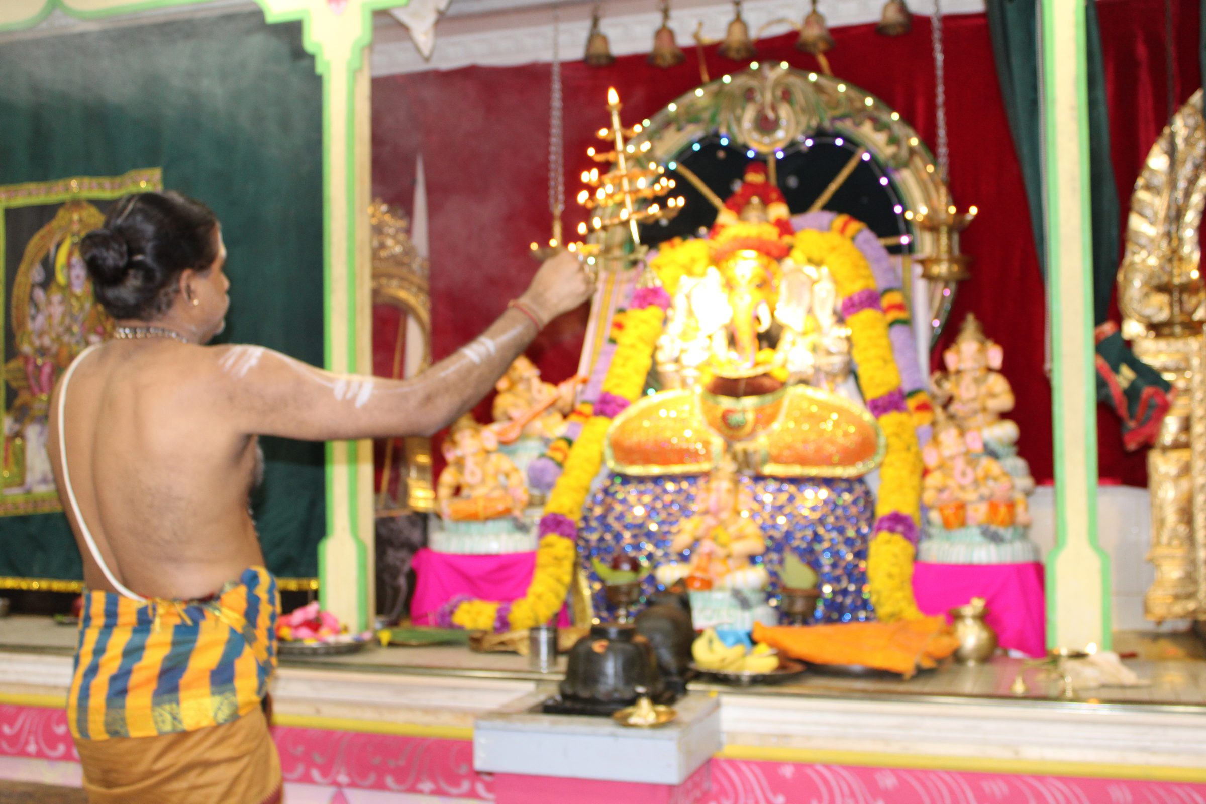 Festival 2024 photo