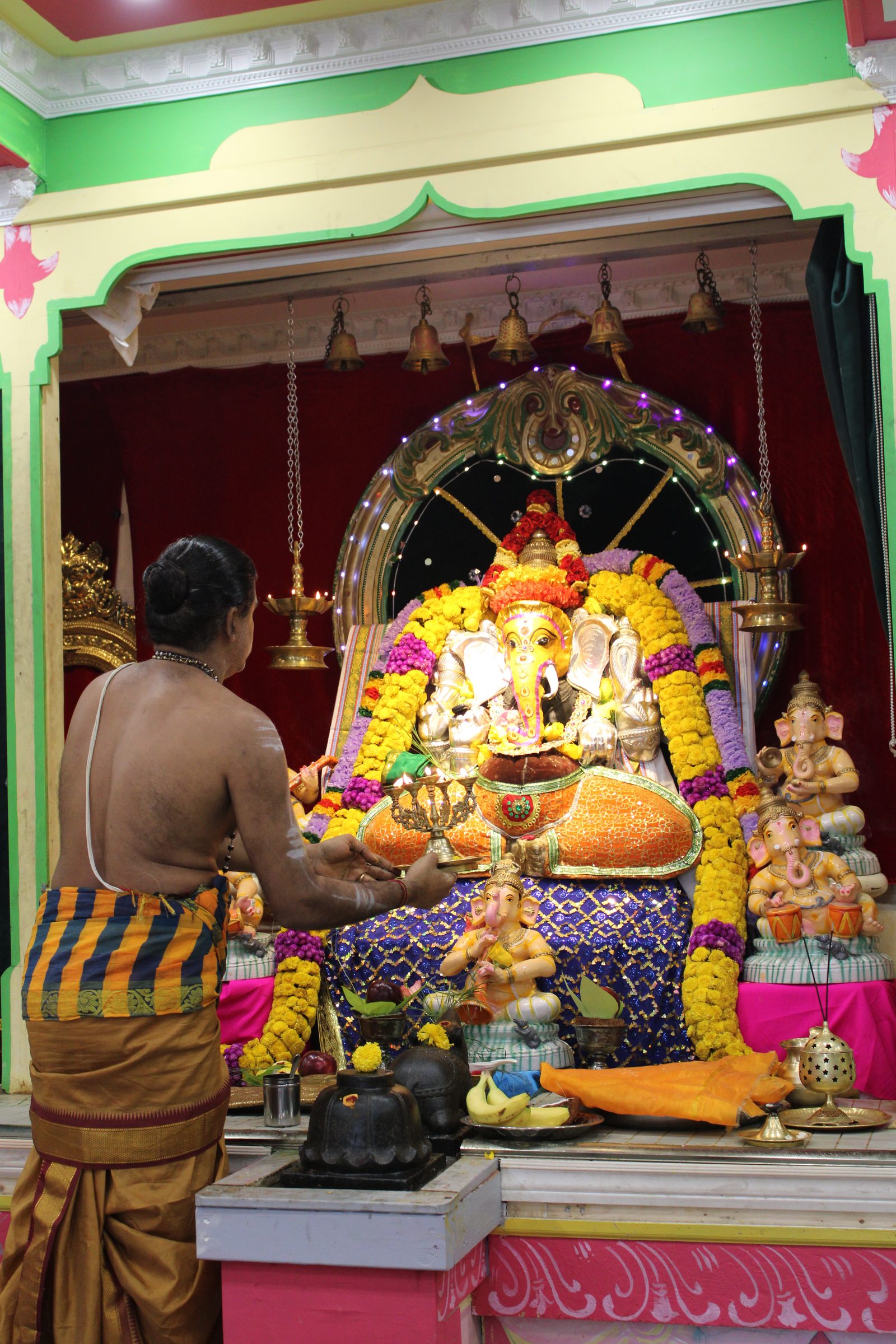 Festival 2024 photo