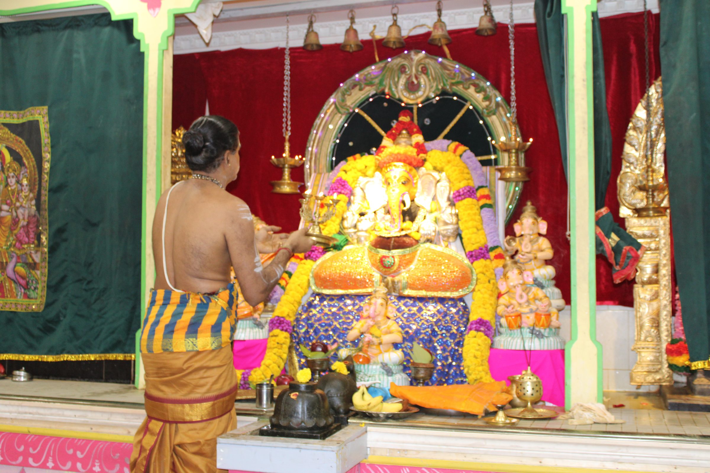Festival 2024 photo