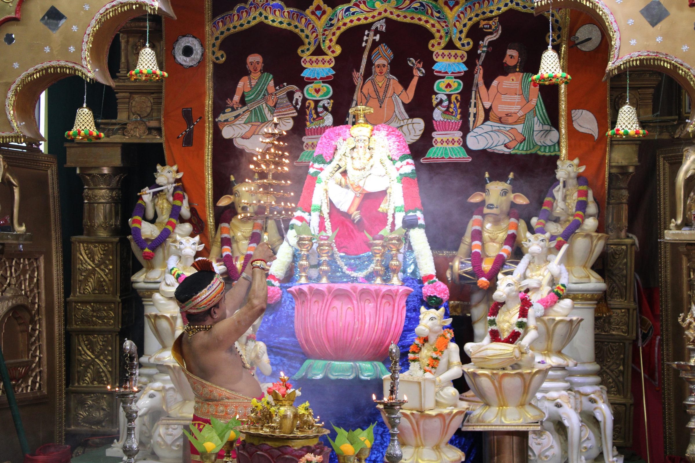 Festival 2024 photo