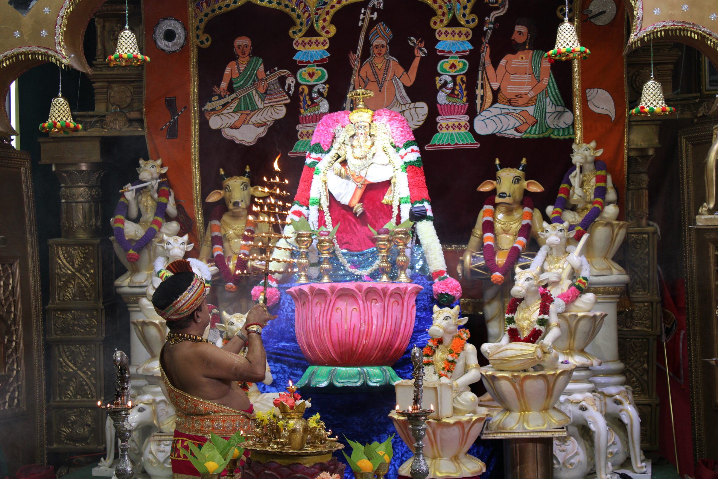 Festival 2024 photo