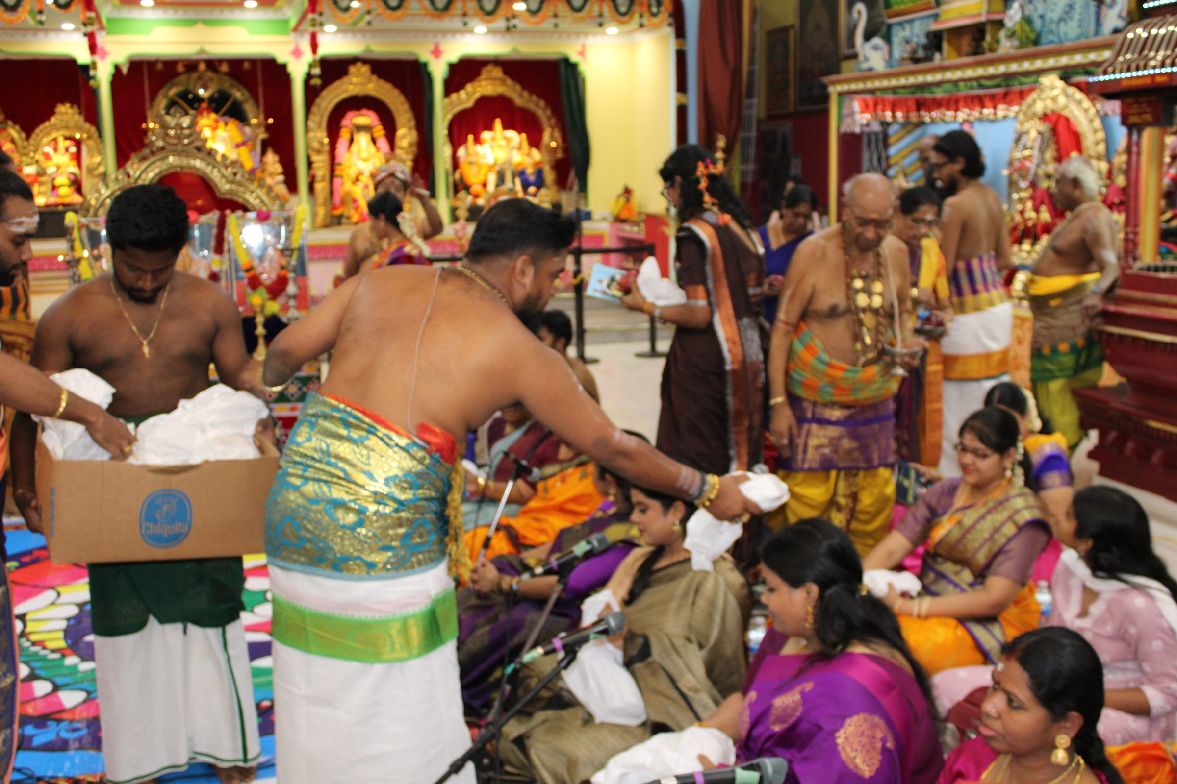 Festival 2024 photo