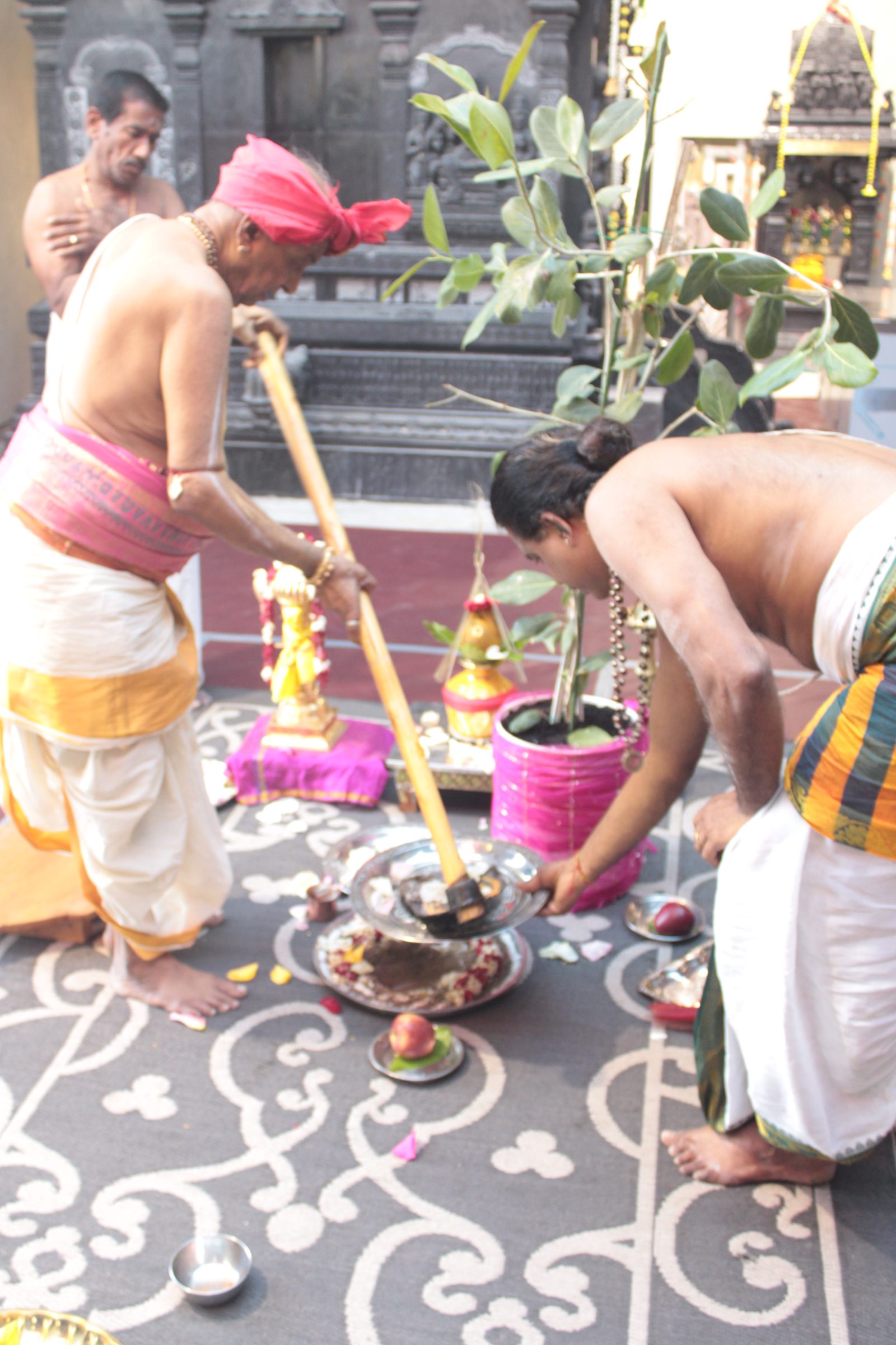 Festival 2026 photo