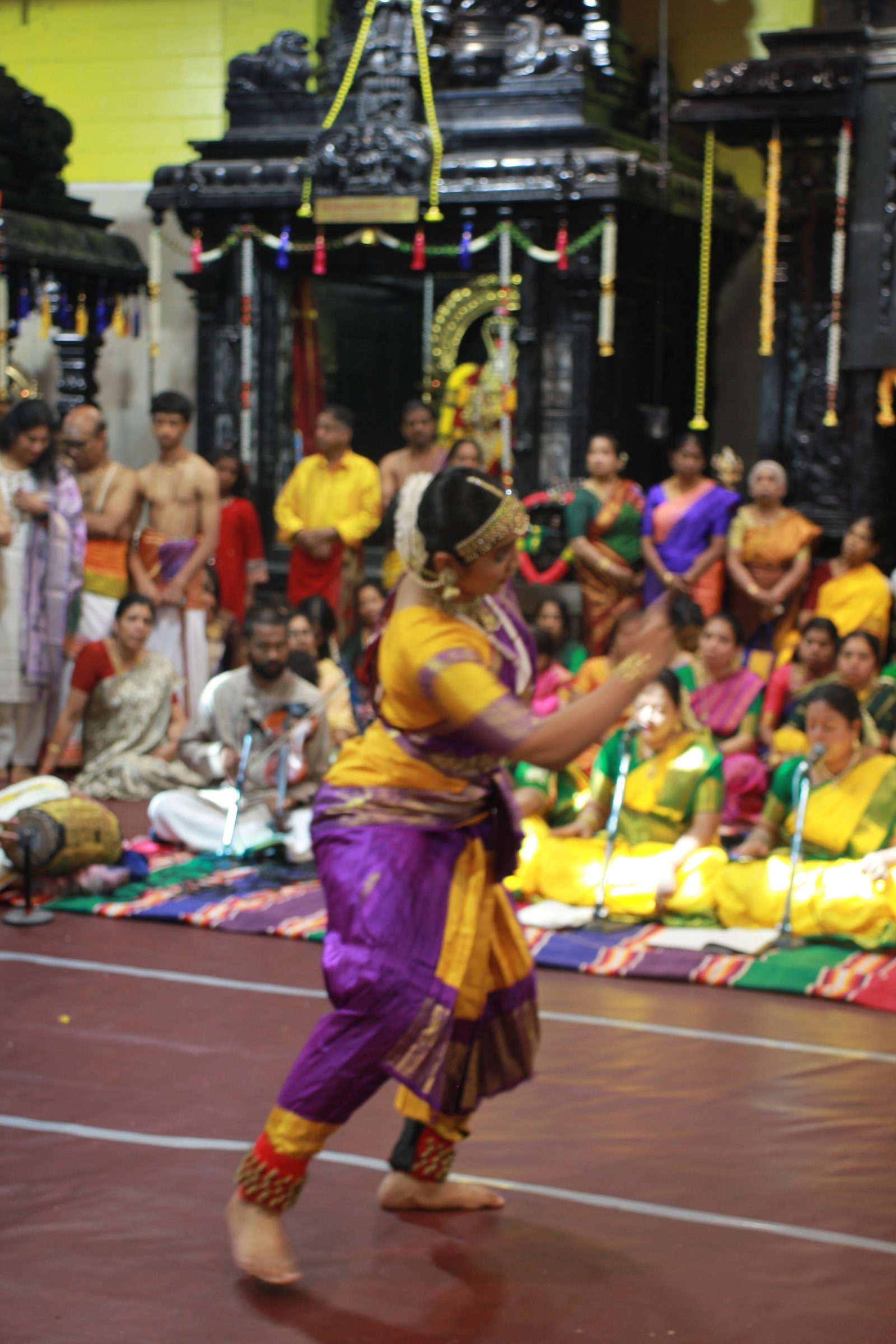 Festival 2026 photo