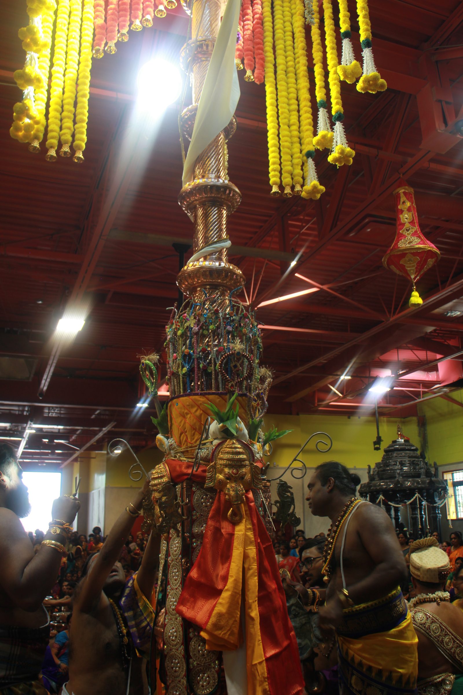 Festival 2026 photo