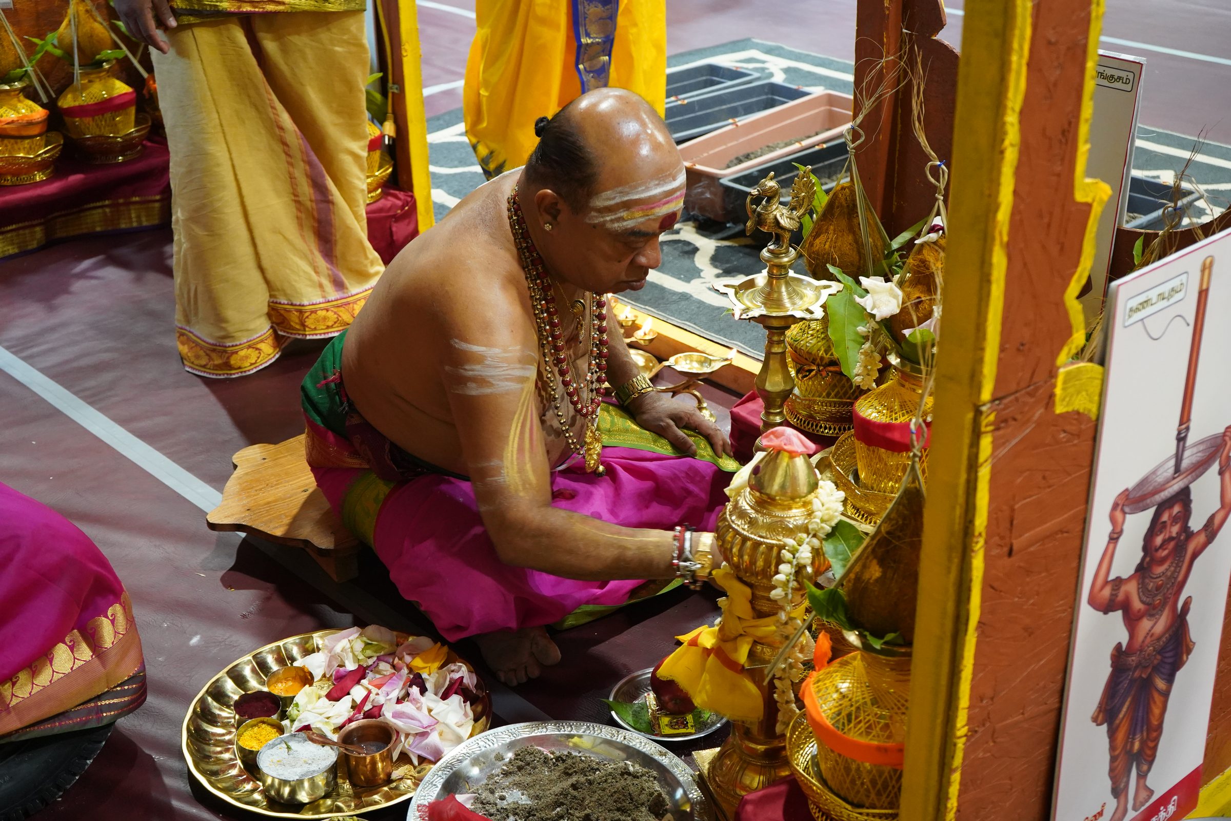 Festival 2026 photo