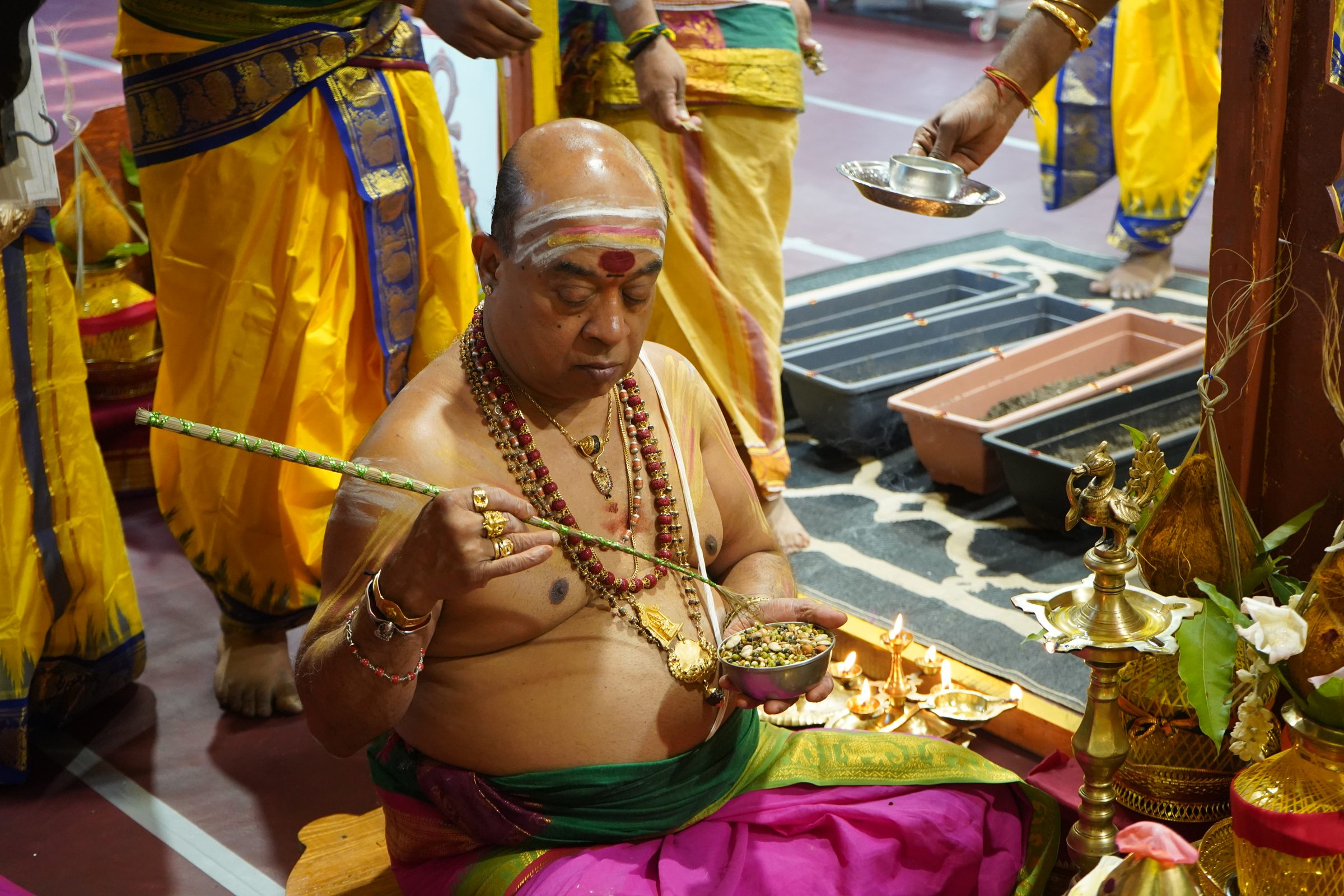 Festival 2026 photo