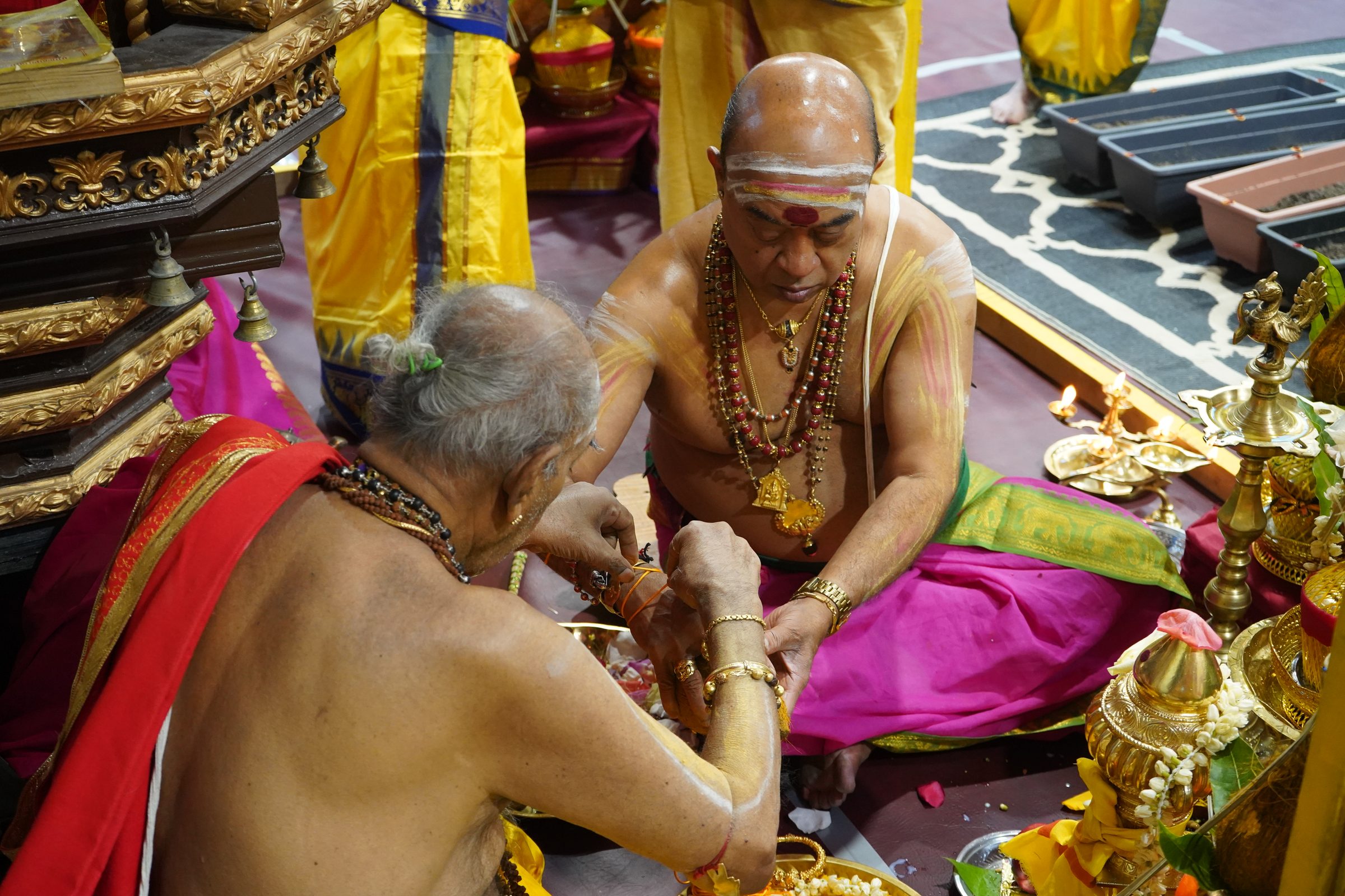 Festival 2026 photo