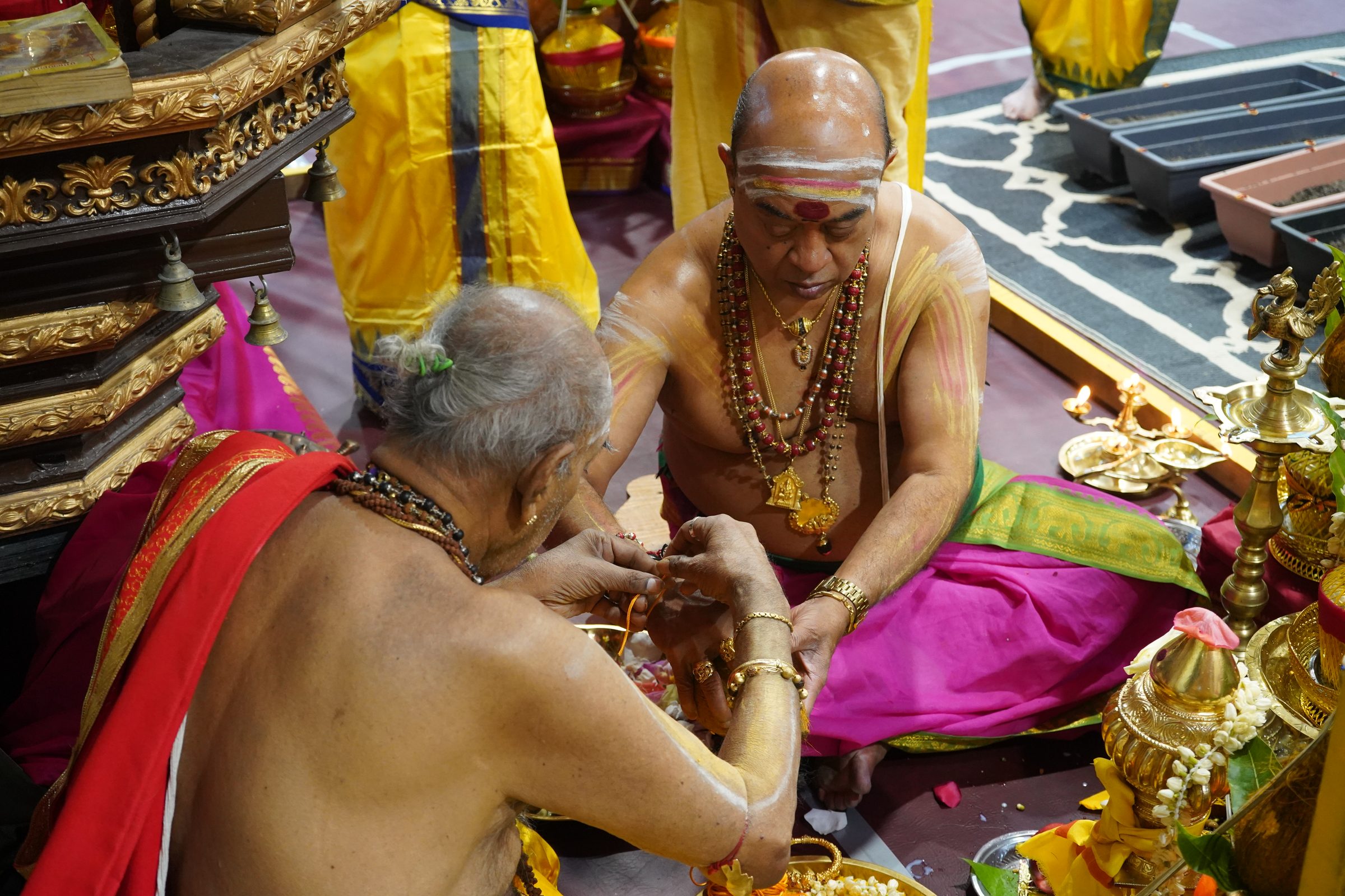 Festival 2026 photo