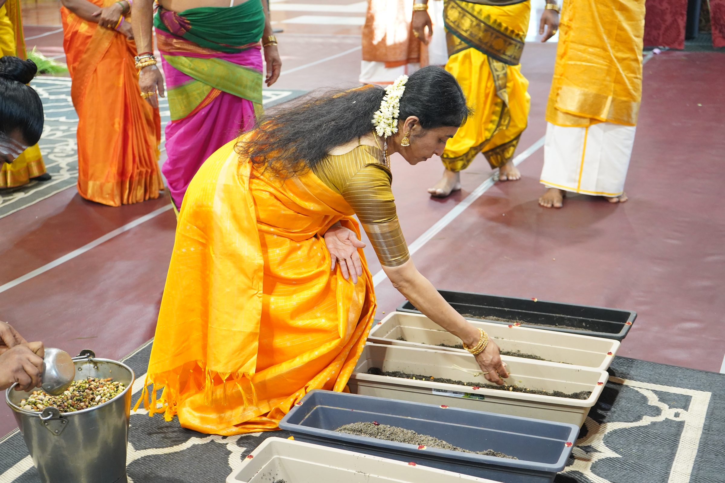 Festival 2026 photo