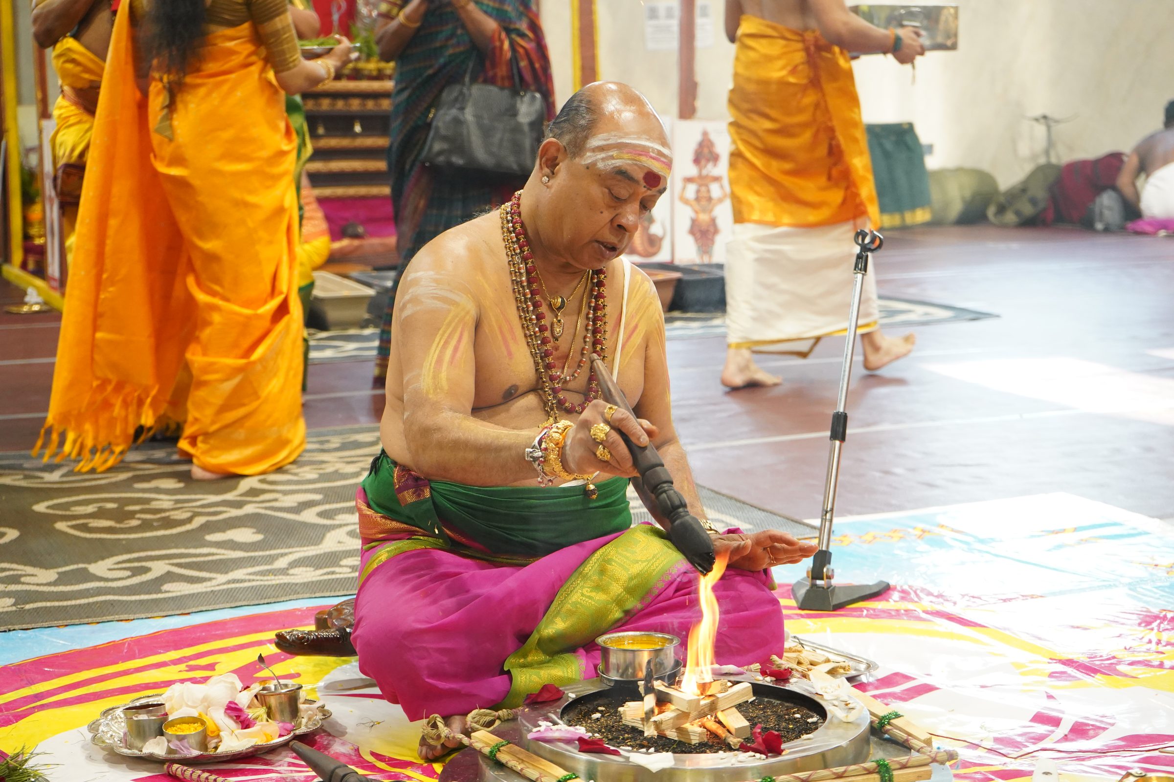 Festival 2026 photo