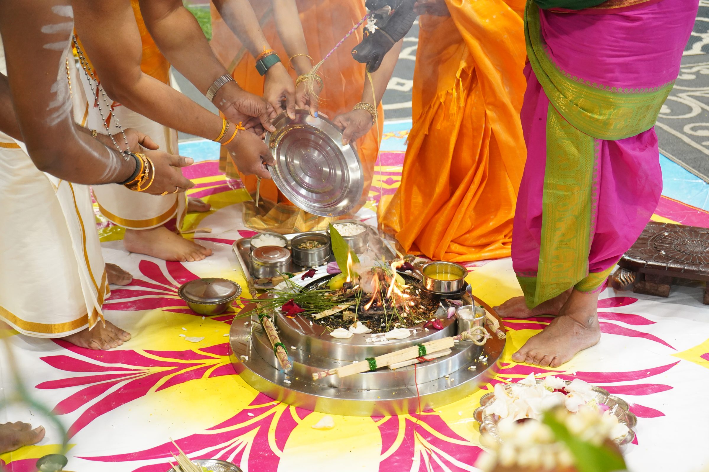 Festival 2026 photo