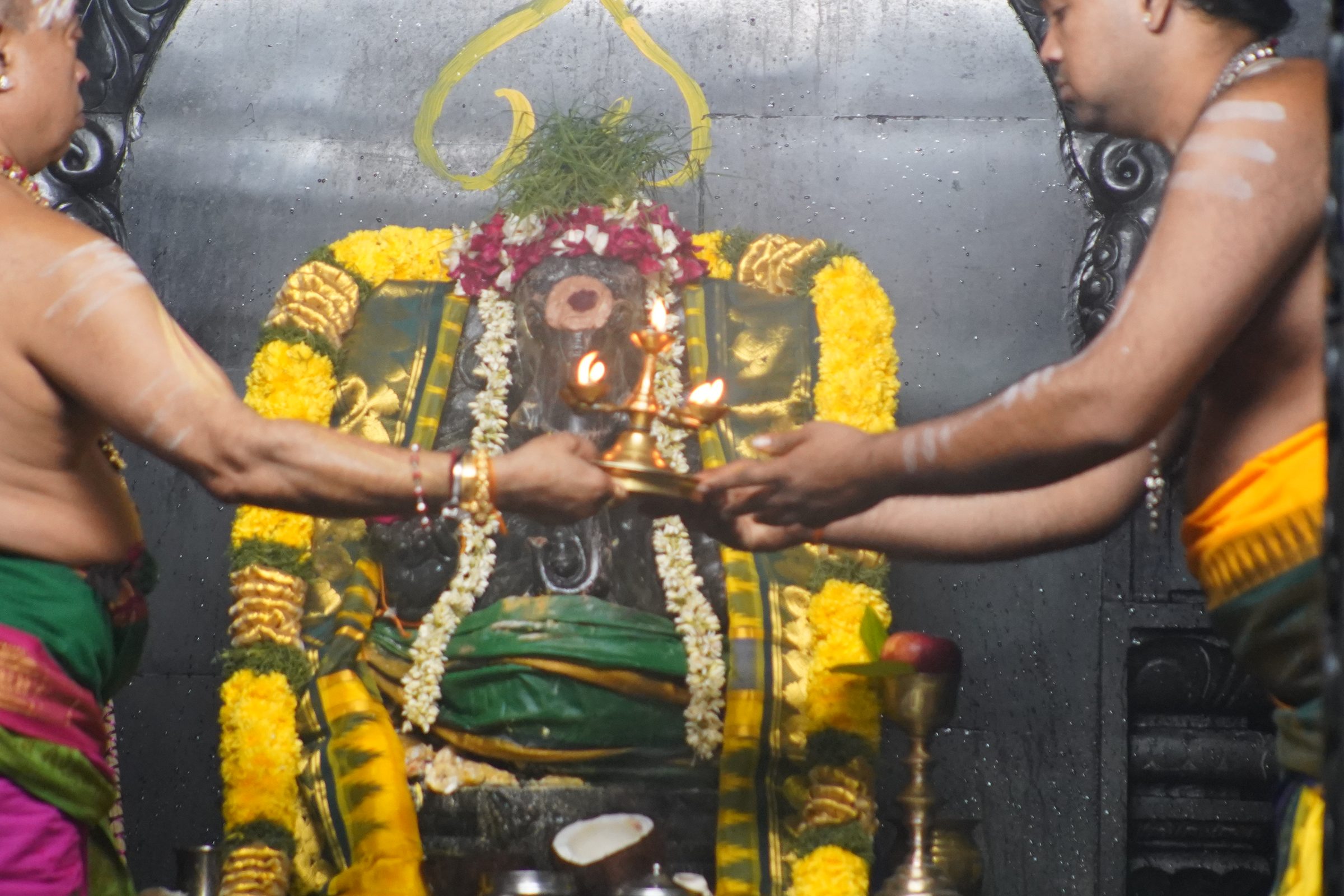 Festival 2026 photo