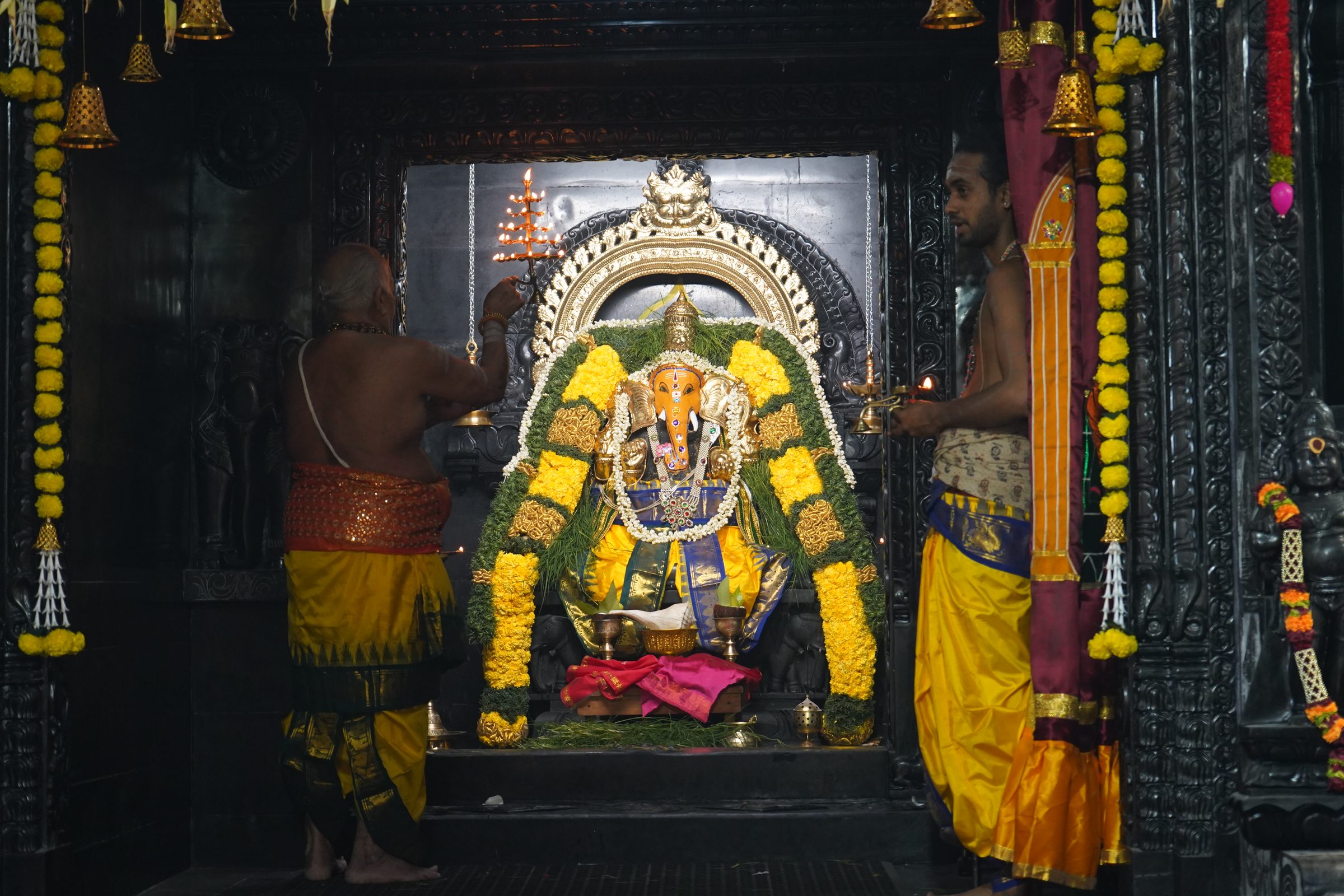 Festival 2026 photo