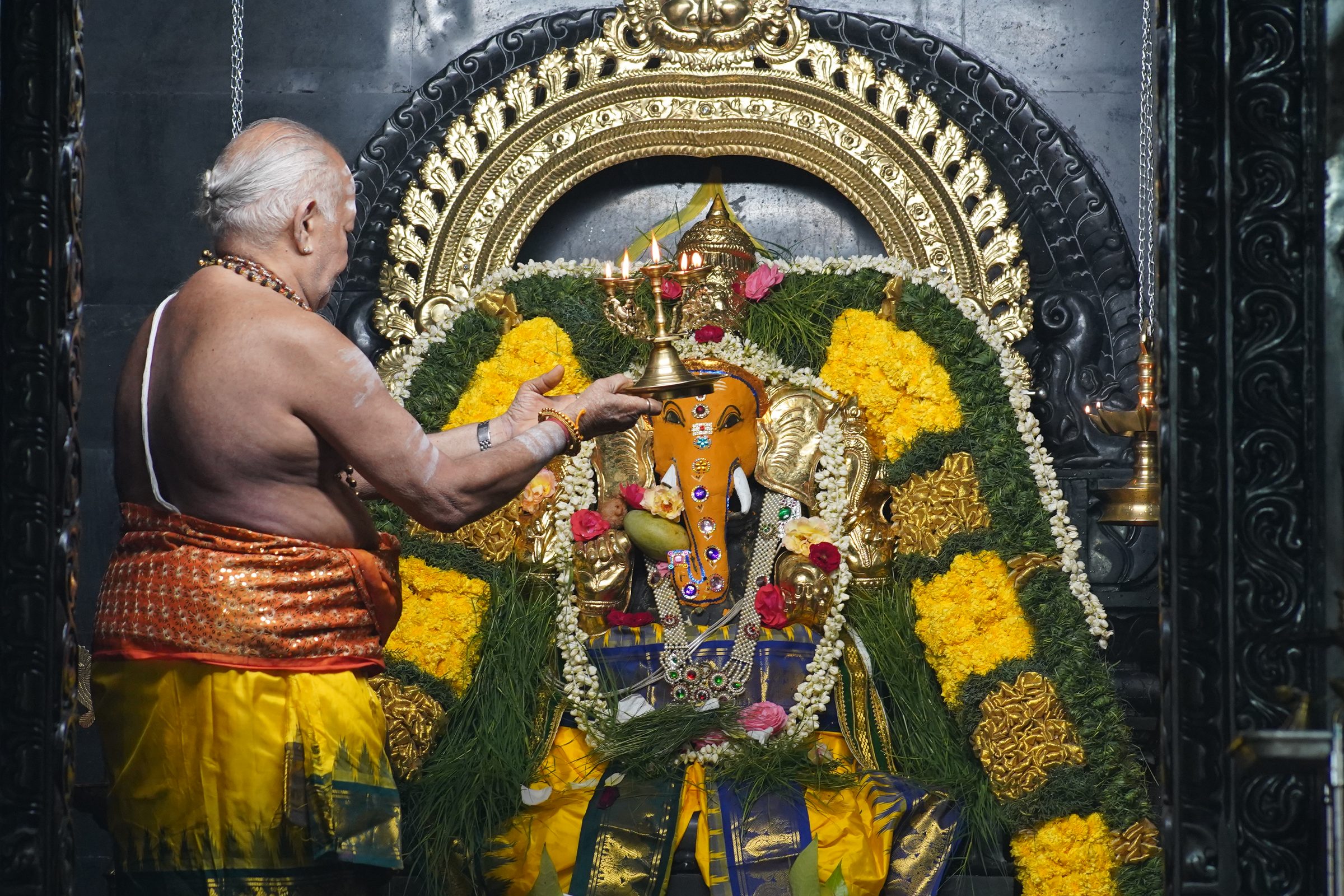 Festival 2026 photo