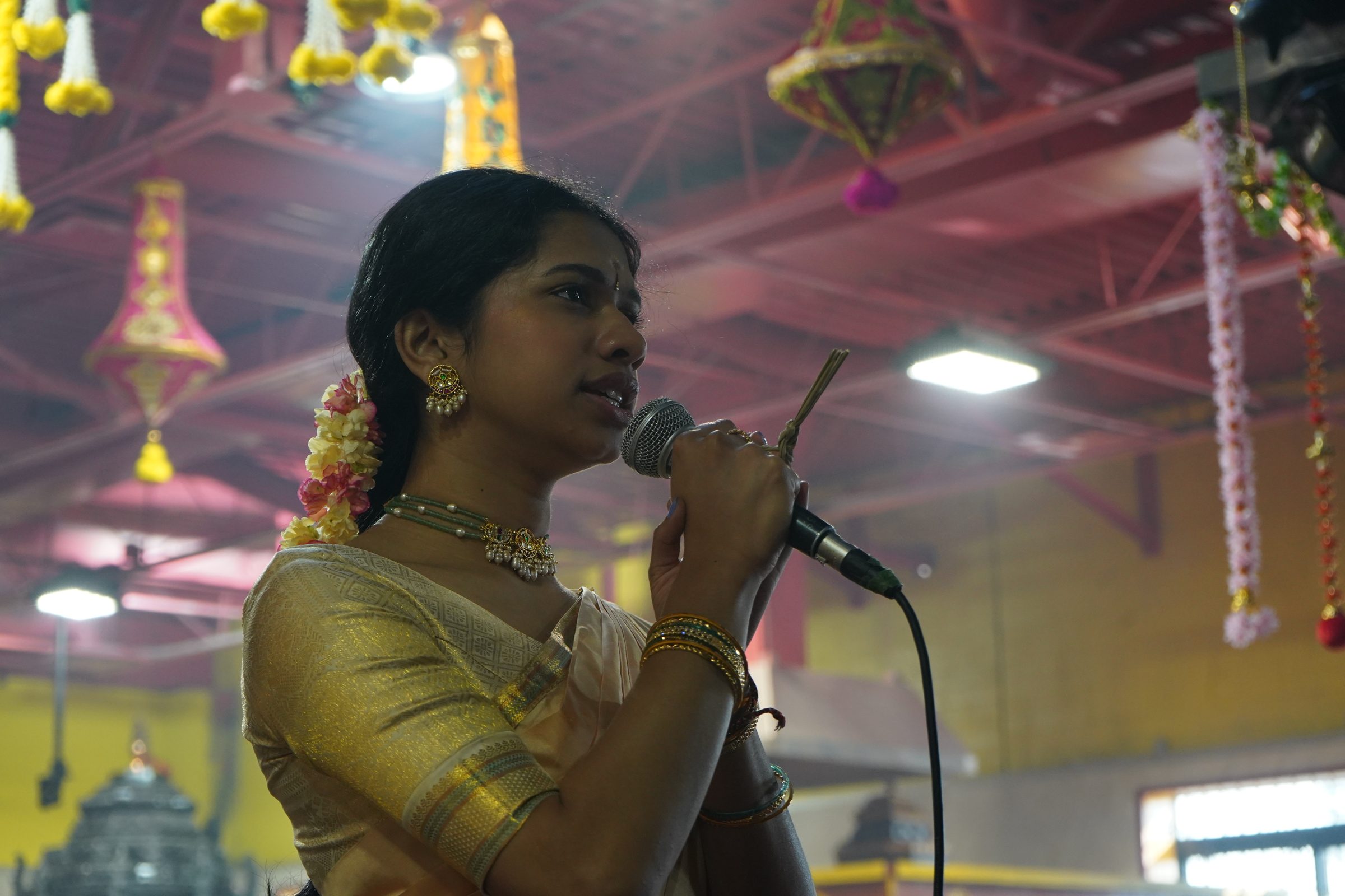 Festival 2026 photo
