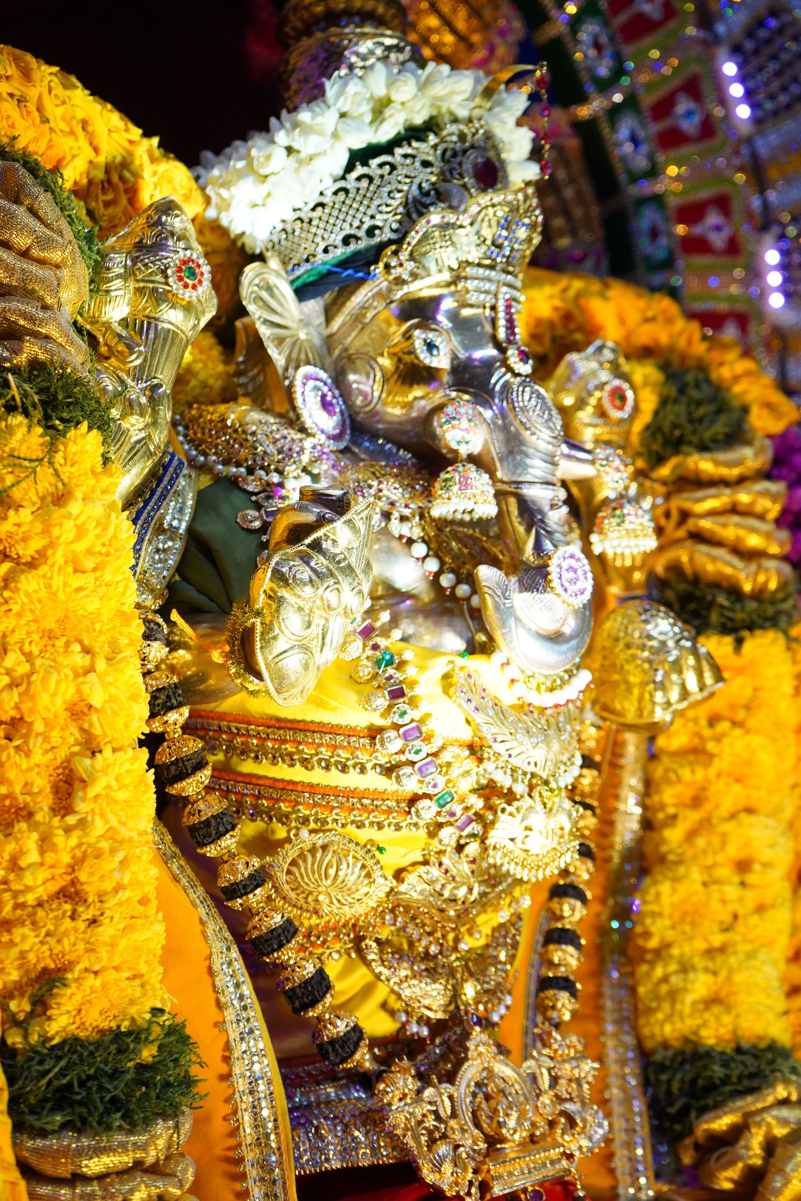 Festival 2026 photo