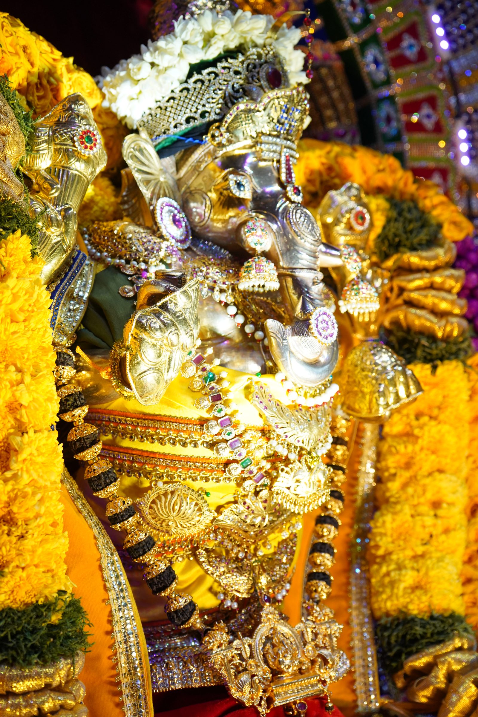 Festival 2026 photo