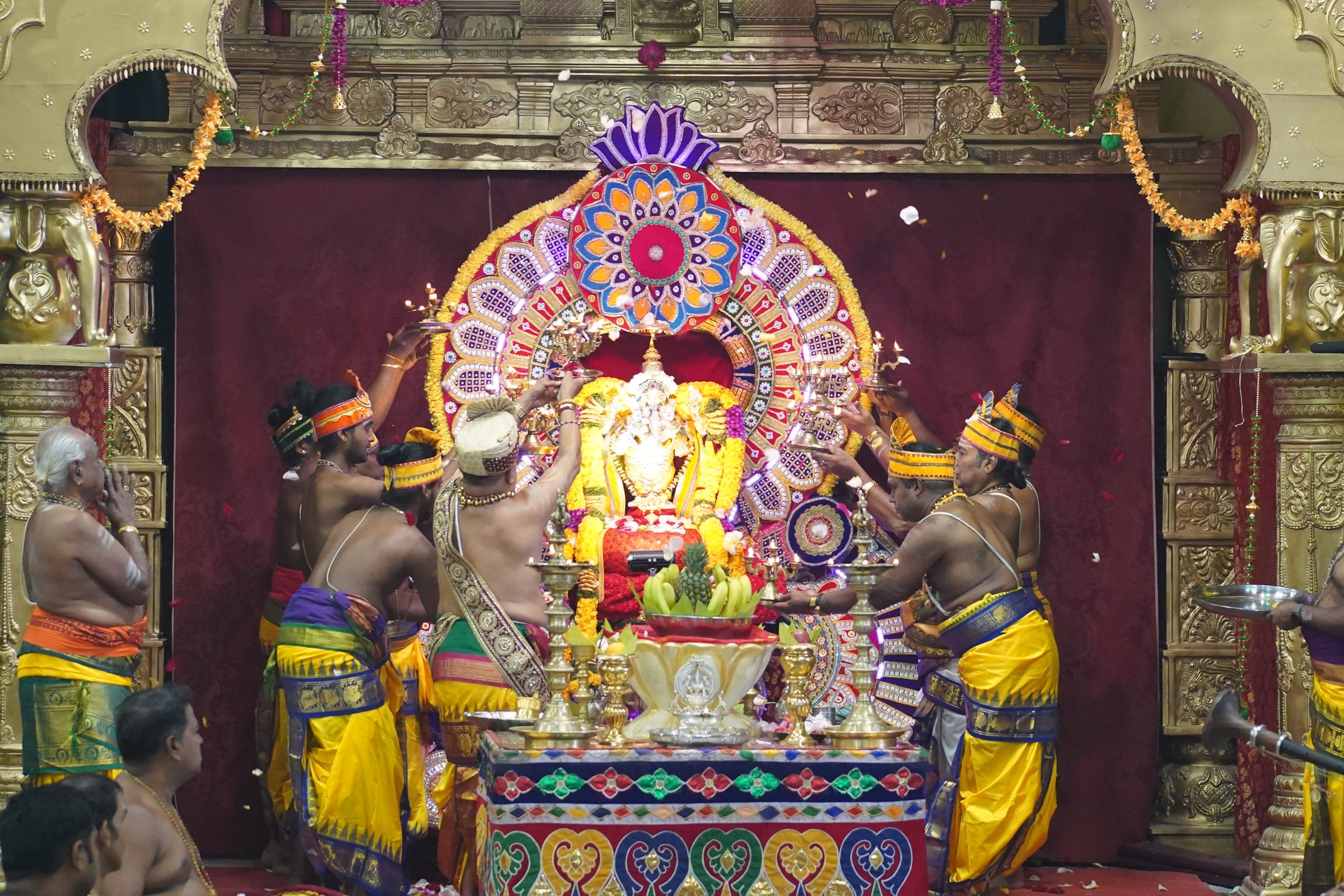 Festival 2026 photo