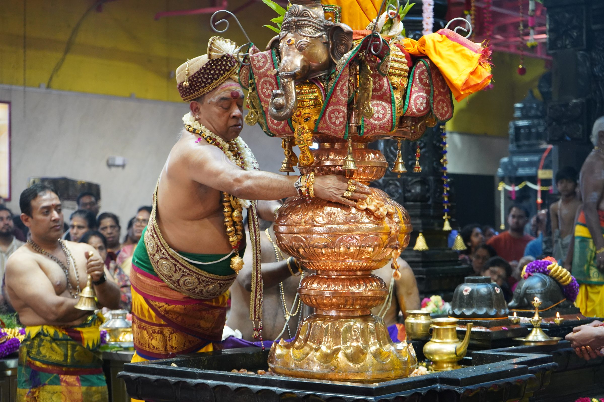 Festival 2026 photo