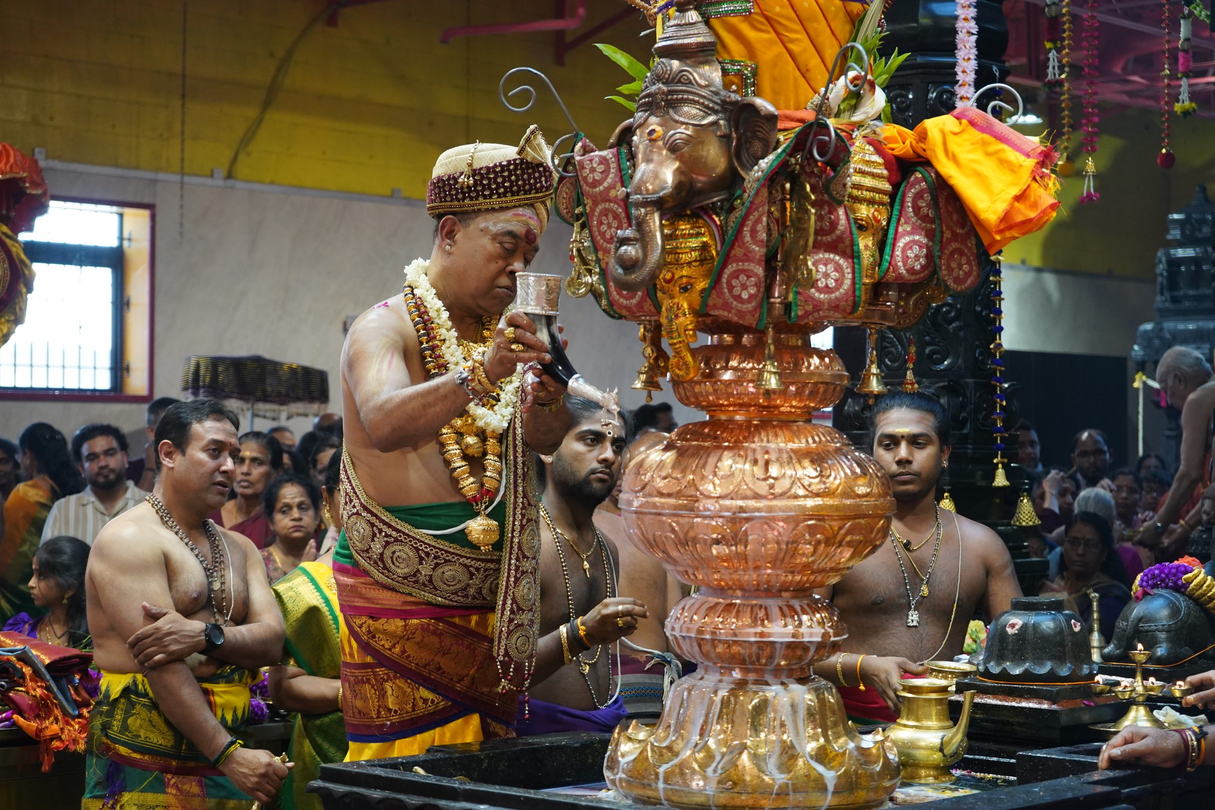 Festival 2026 photo