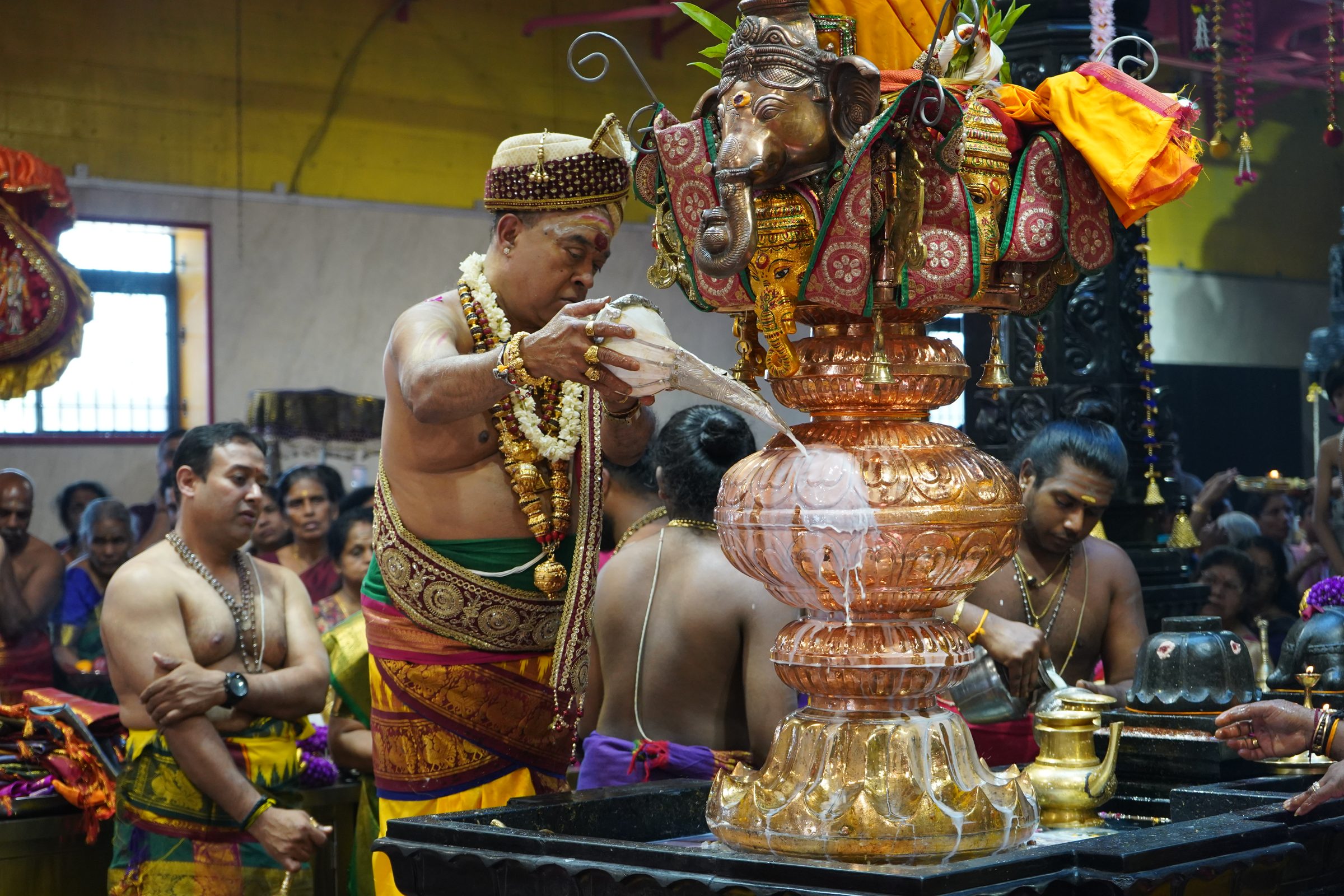 Festival 2026 photo