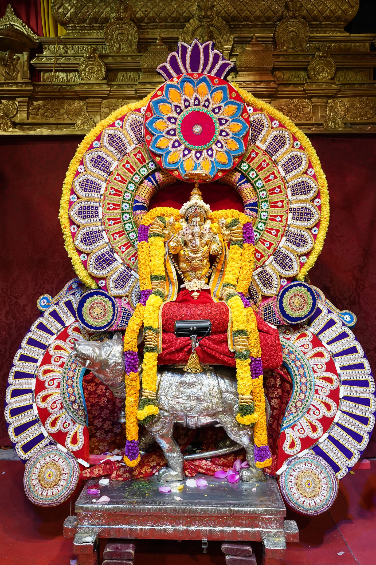 Festival 2026 photo