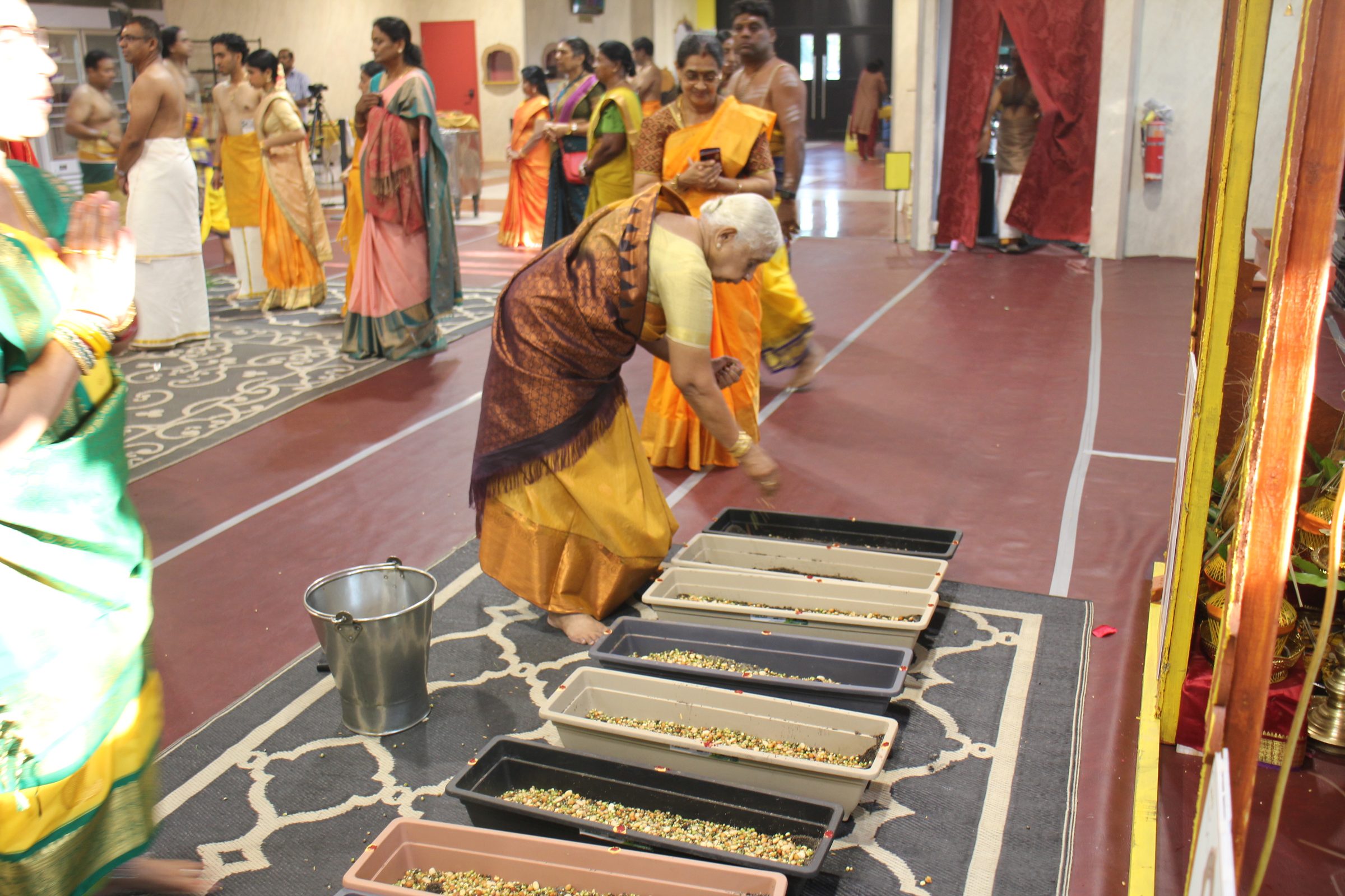 Festival 2026 photo